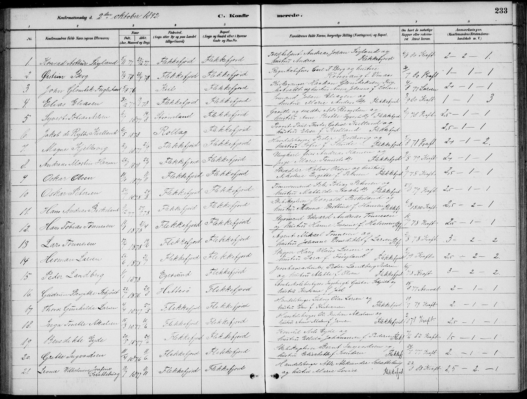 Flekkefjord sokneprestkontor, SAK/1111-0012/F/Fb/Fbc/L0007: Parish register (copy) no. B 7, 1880-1902, p. 233