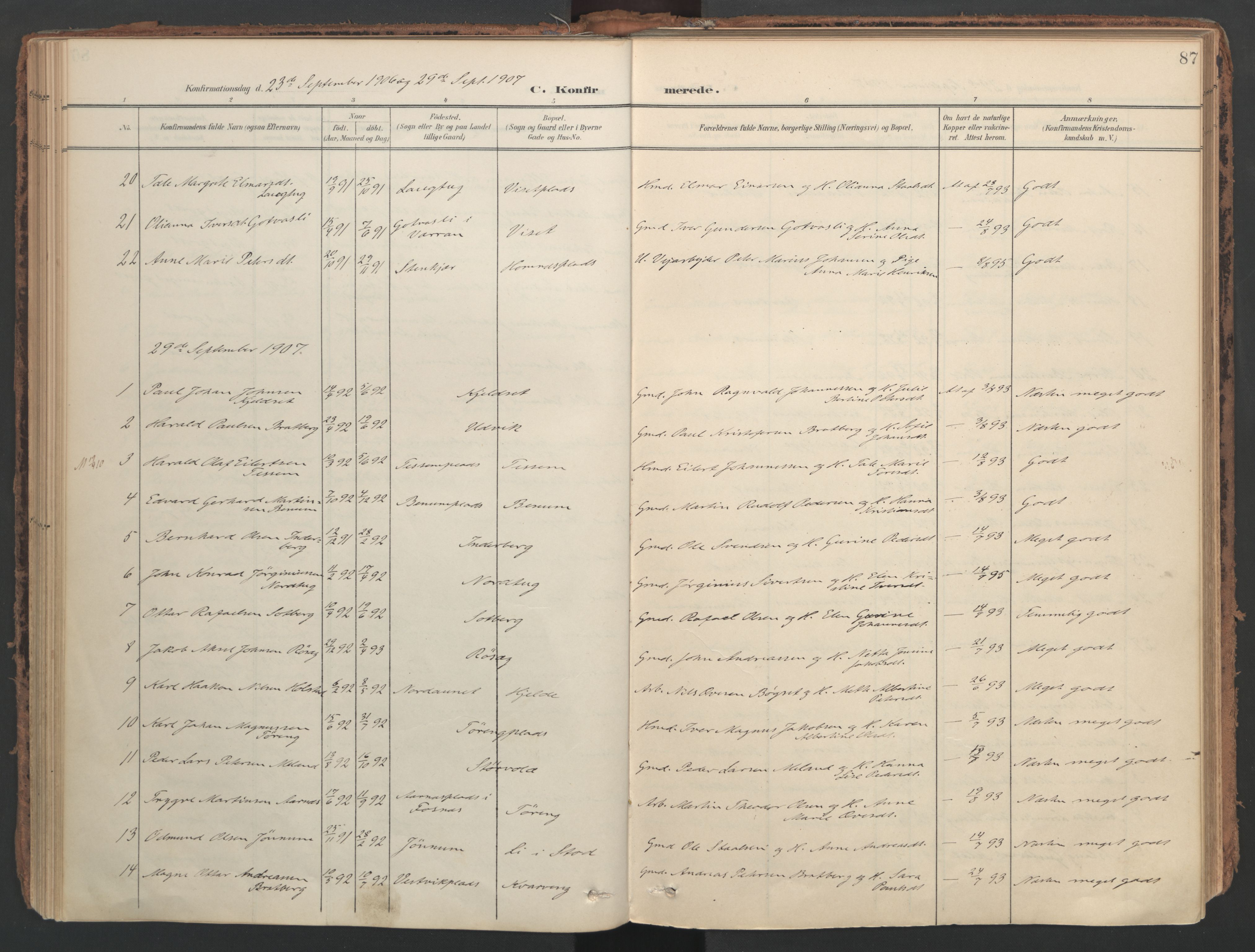 Ministerialprotokoller, klokkerbøker og fødselsregistre - Nord-Trøndelag, SAT/A-1458/741/L0397: Parish register (official) no. 741A11, 1901-1911, p. 87