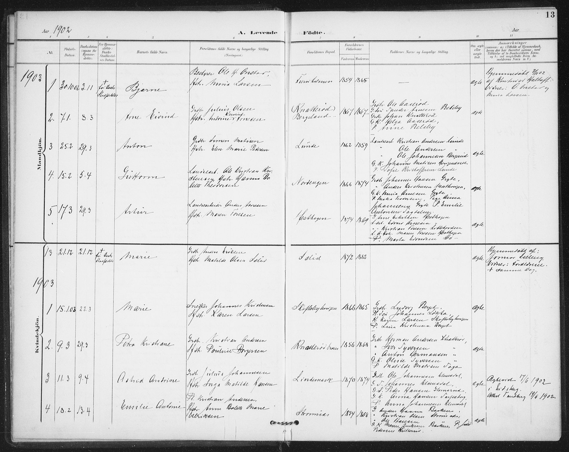 Varteig prestekontor Kirkebøker, SAO/A-10447a/F/Fa/L0003: Parish register (official) no. 3, 1899-1919, p. 13