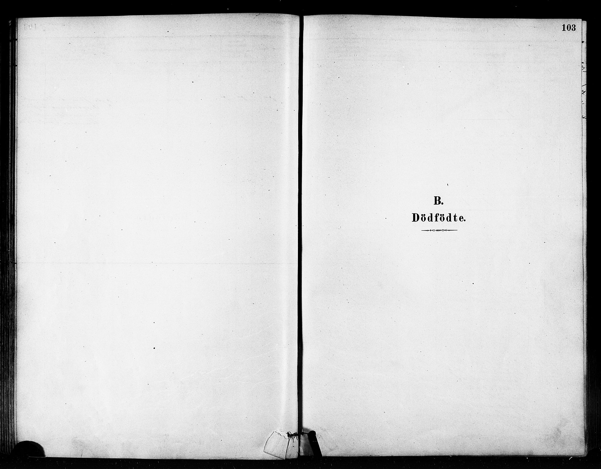 Vardø sokneprestkontor, AV/SATØ-S-1332/H/Ha/L0006kirke: Parish register (official) no. 6, 1879-1886, p. 103