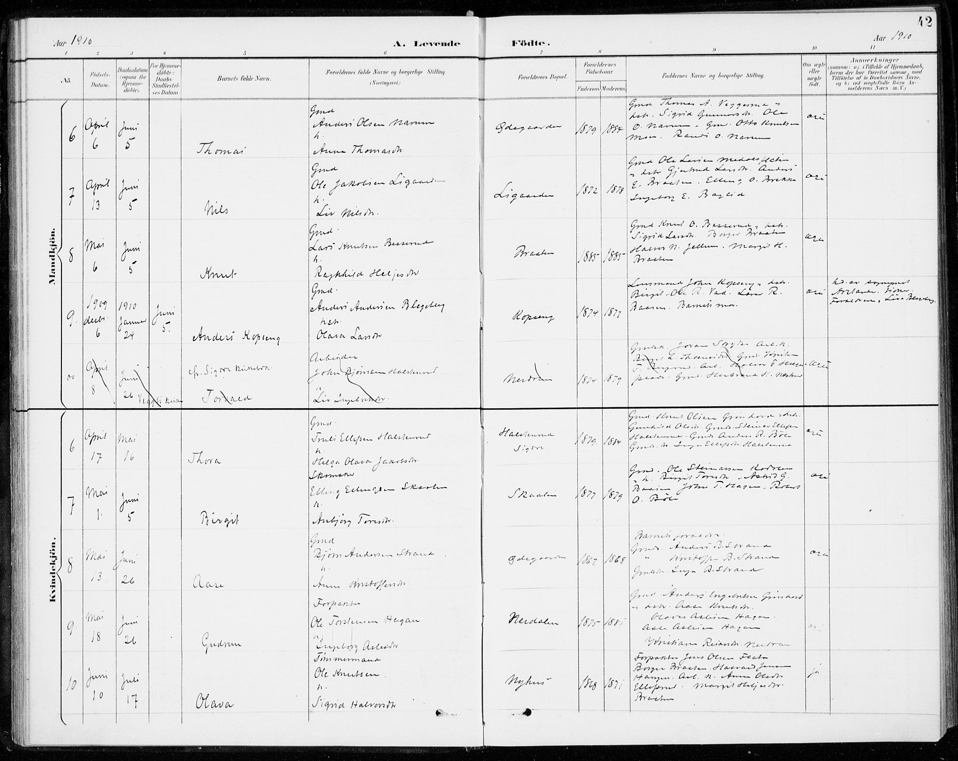 Sigdal kirkebøker, SAKO/A-245/F/Fc/L0002: Parish register (official) no. III 2, 1894-1911, p. 42