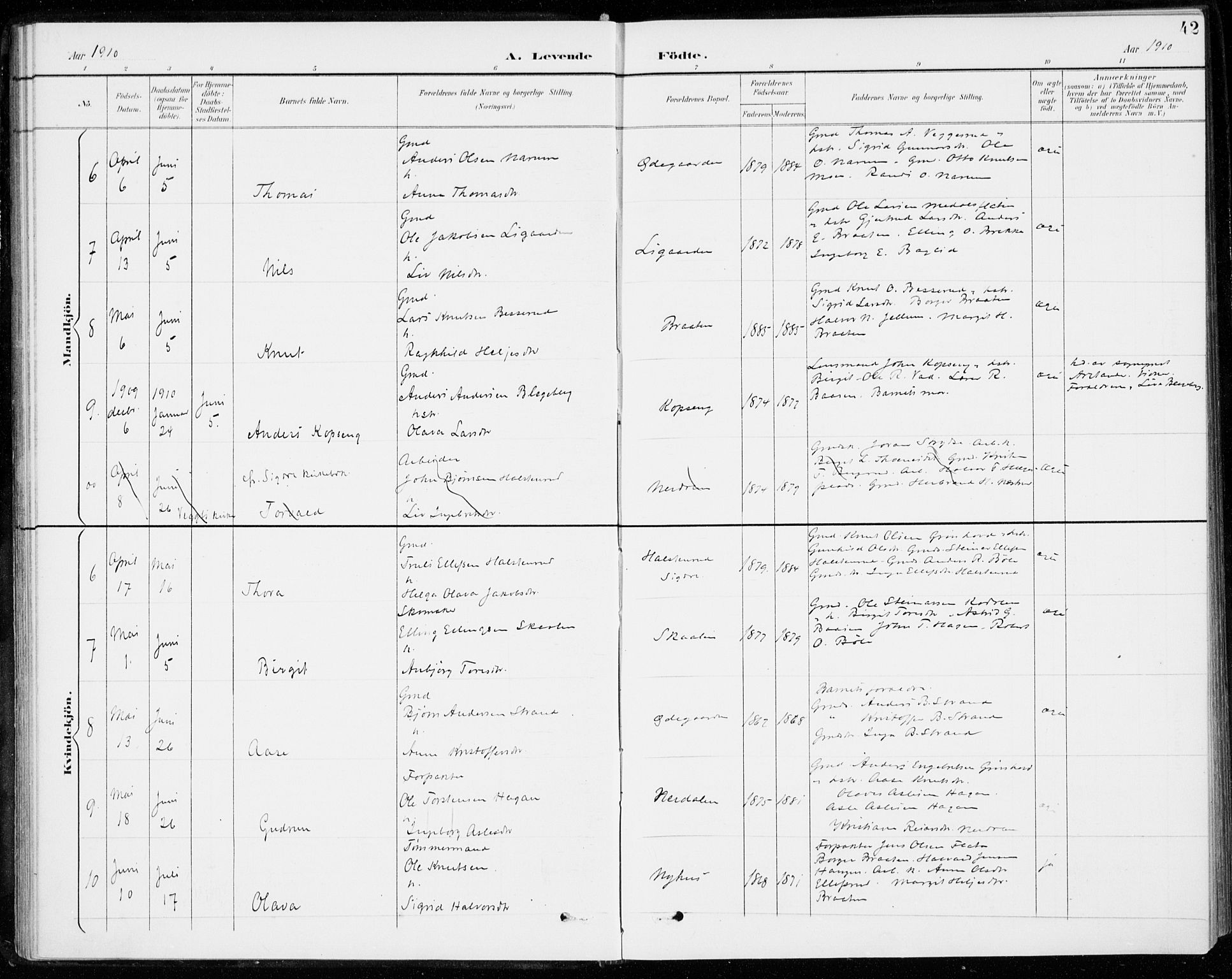 Sigdal kirkebøker, AV/SAKO-A-245/F/Fc/L0002: Parish register (official) no. III 2, 1894-1911, p. 42