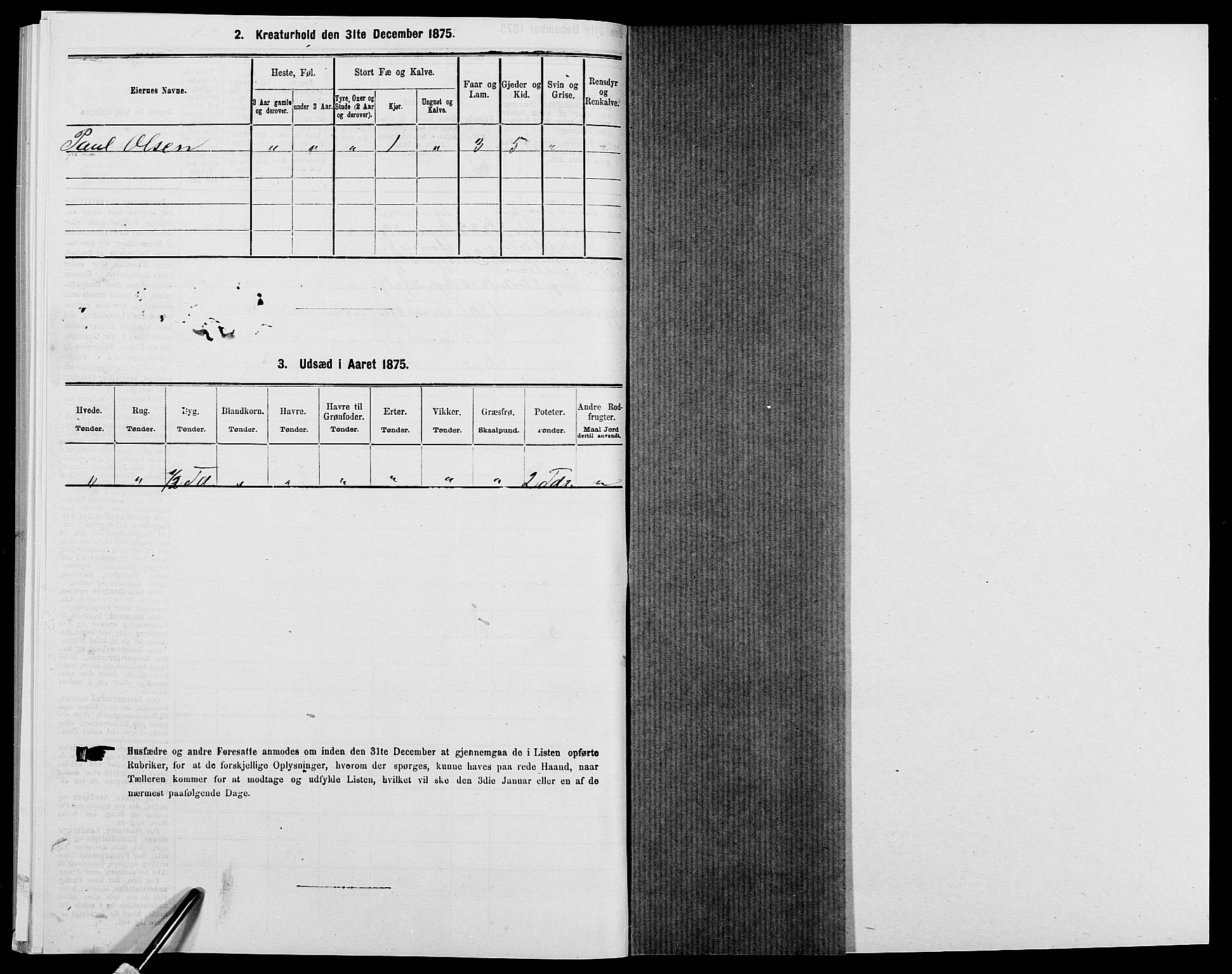 SAK, 1875 census for 0938P Bygland, 1875, p. 587