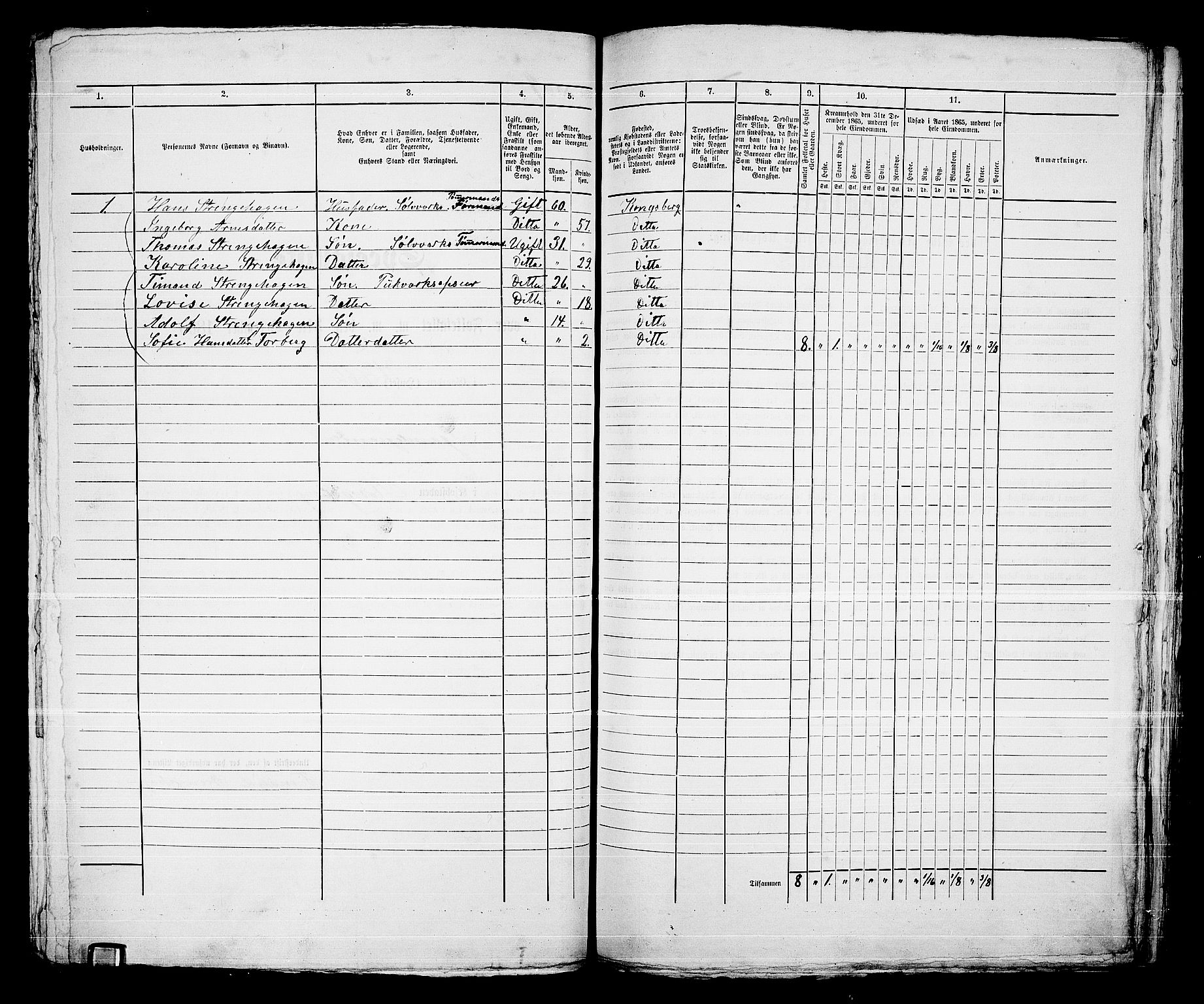 RA, 1865 census for Kongsberg/Kongsberg, 1865, p. 1261