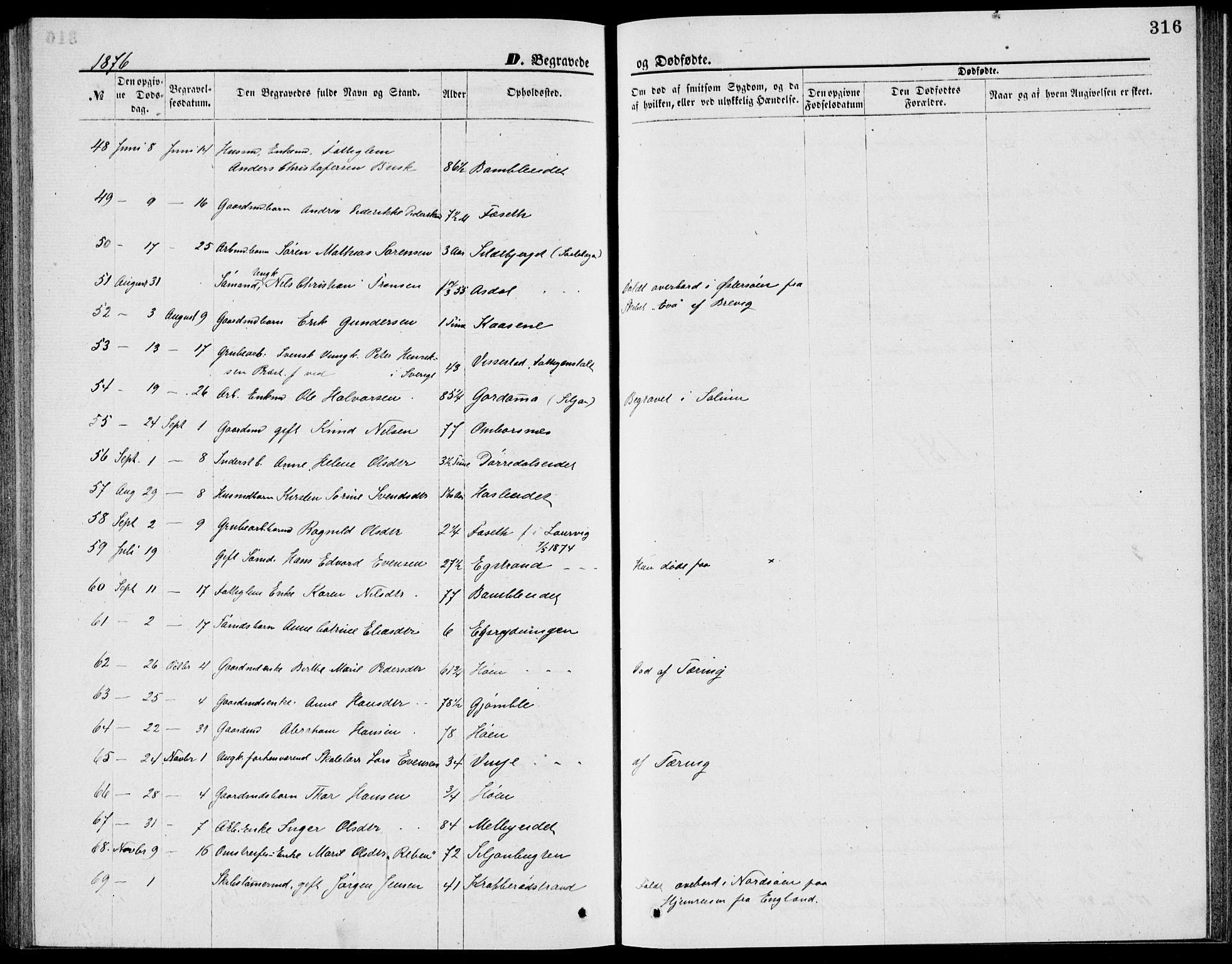 Bamble kirkebøker, AV/SAKO-A-253/G/Ga/L0007: Parish register (copy) no. I 7, 1876-1877, p. 316