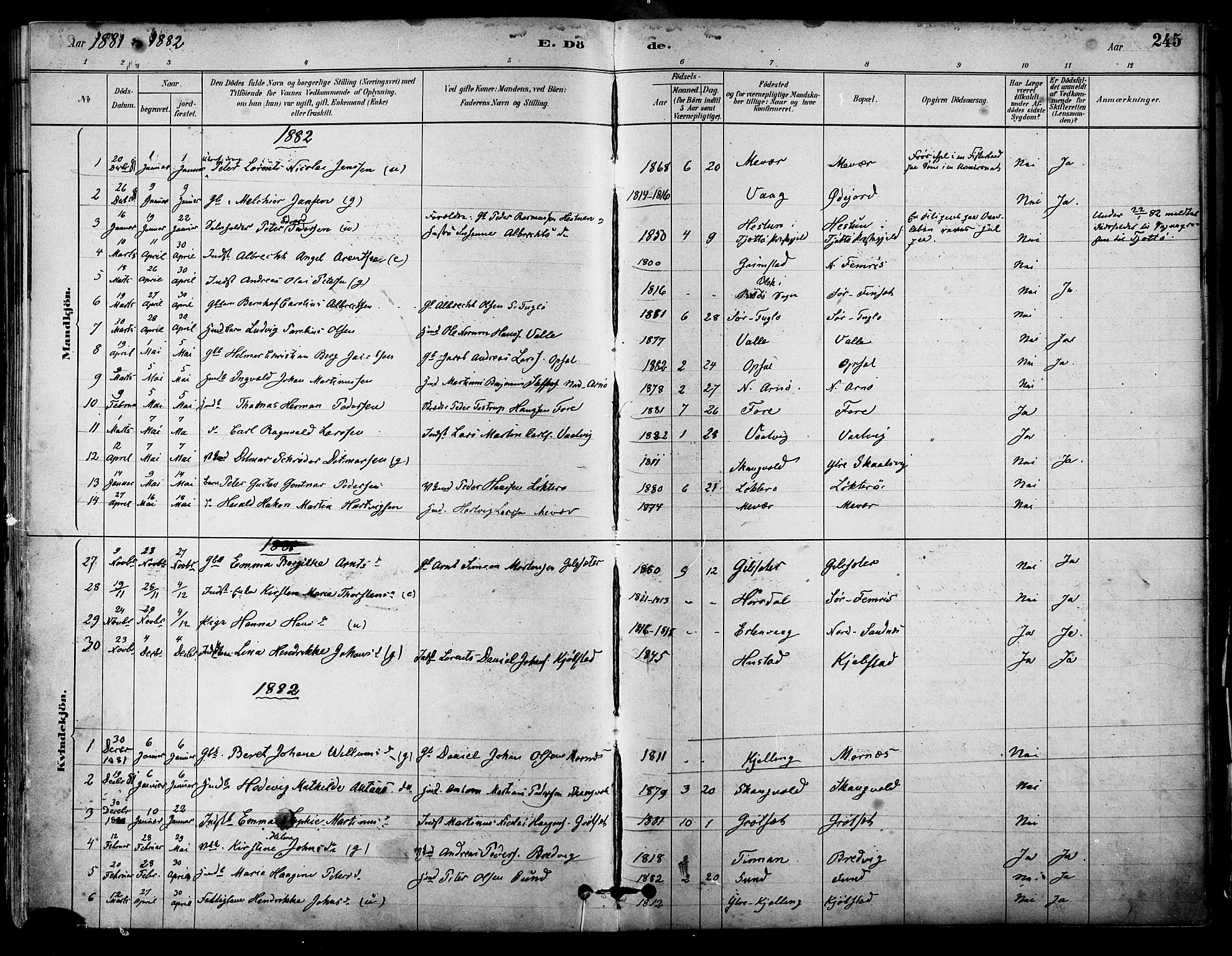 Ministerialprotokoller, klokkerbøker og fødselsregistre - Nordland, AV/SAT-A-1459/805/L0099: Parish register (official) no. 805A06, 1880-1891, p. 245