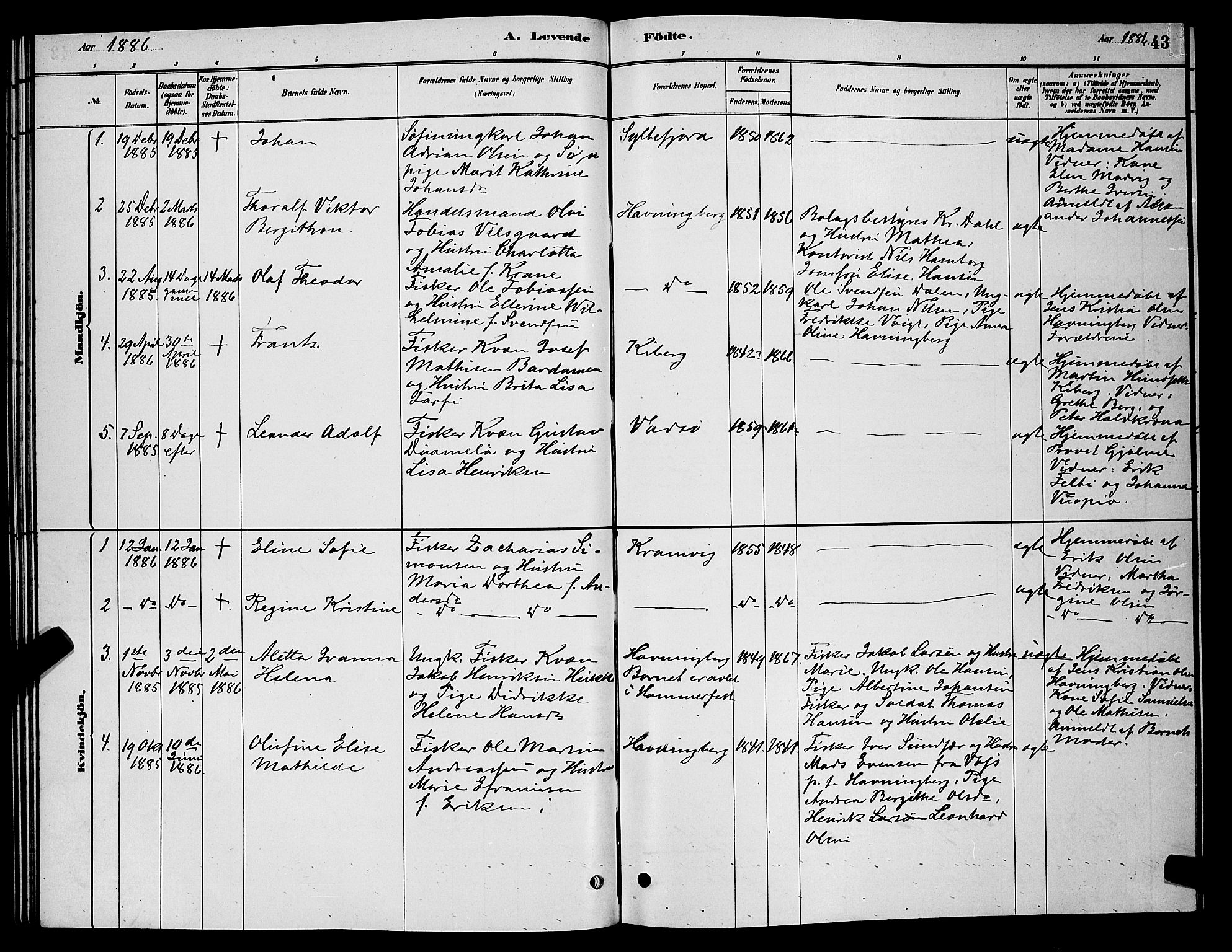 Vardø sokneprestkontor, SATØ/S-1332/H/Hb/L0006klokker: Parish register (copy) no. 6, 1879-1887, p. 43