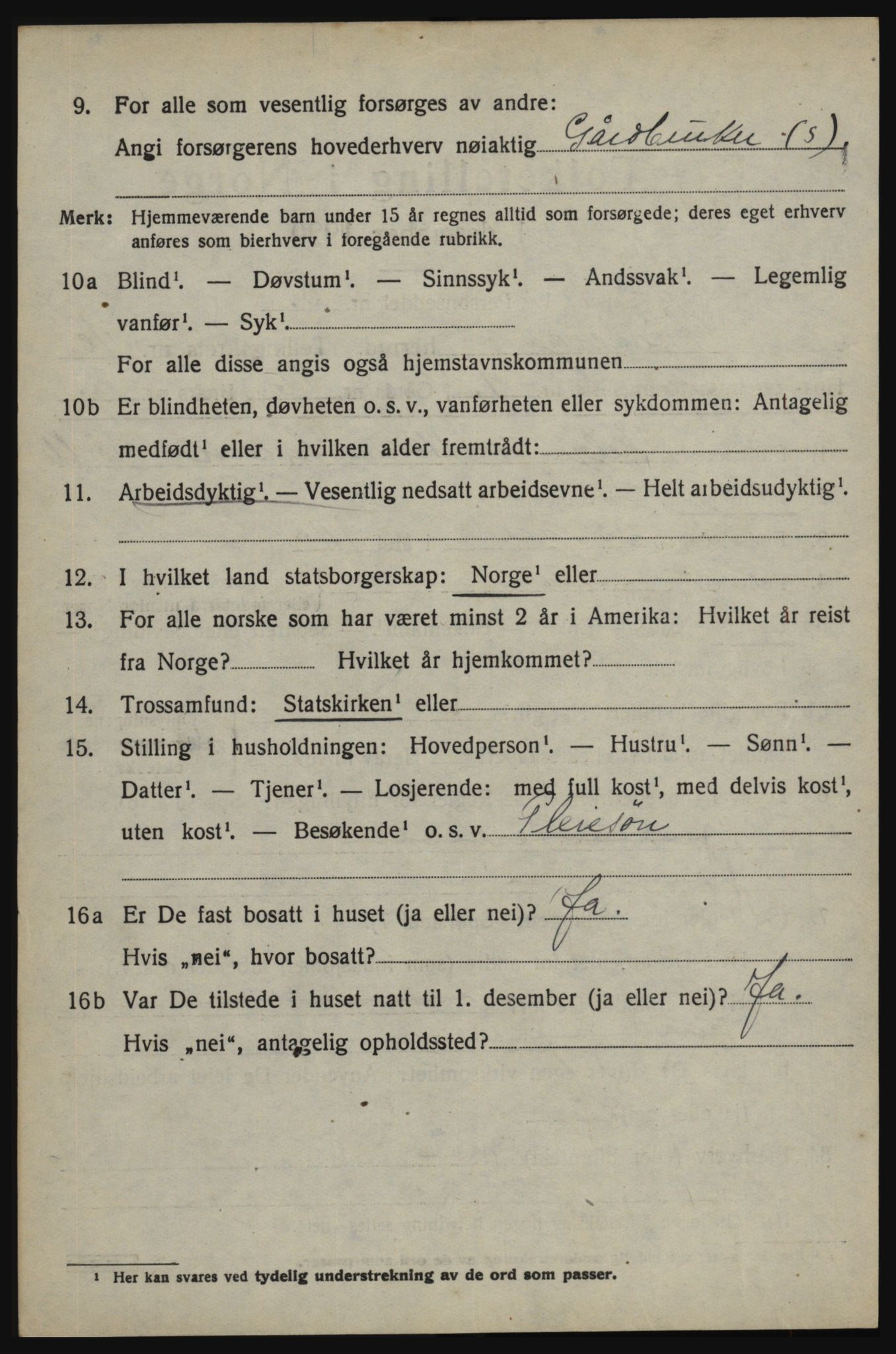 SAO, 1920 census for Skjeberg, 1920, p. 9088