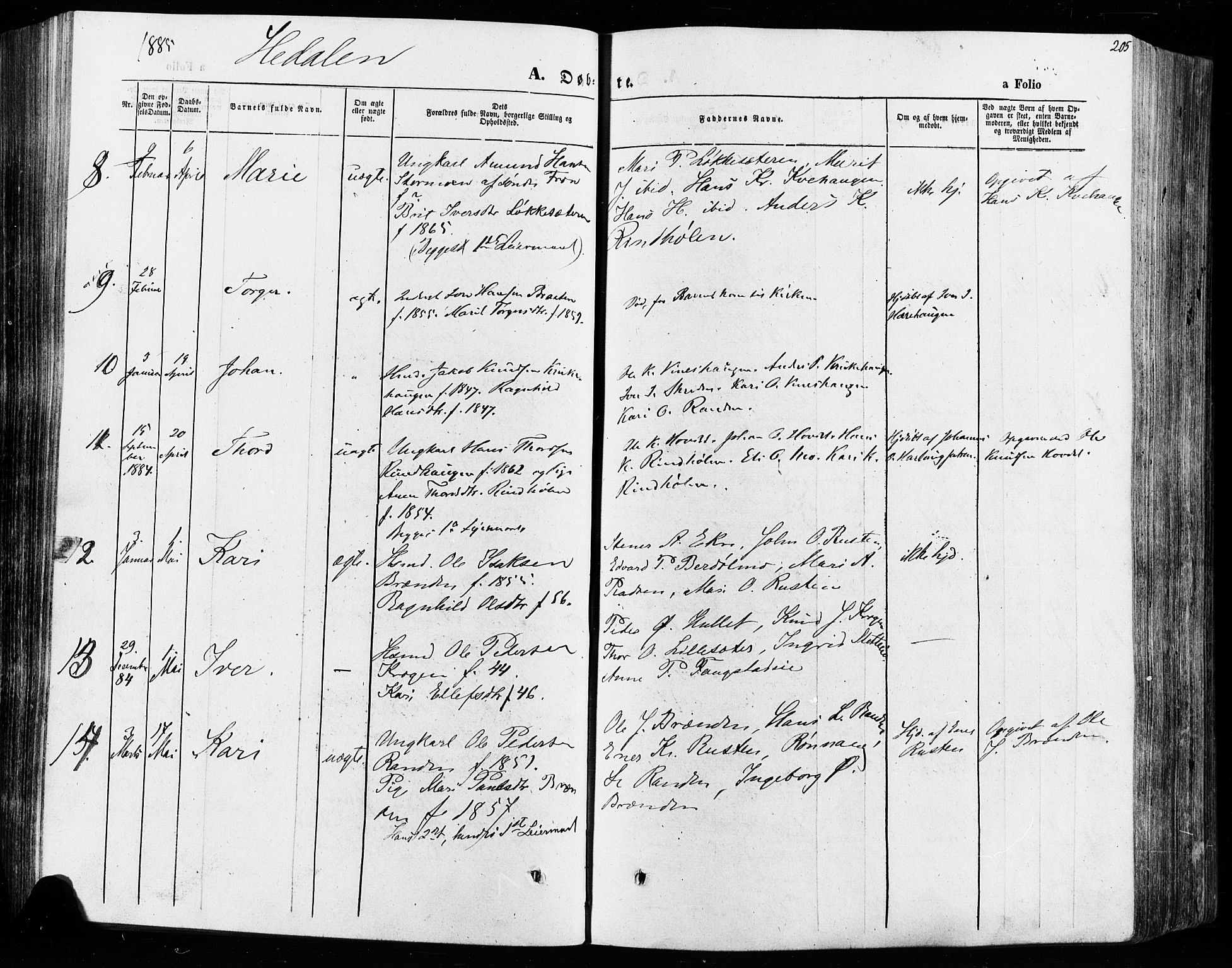 Vågå prestekontor, SAH/PREST-076/H/Ha/Haa/L0007: Parish register (official) no. 7 /2, 1873-1886, p. 205