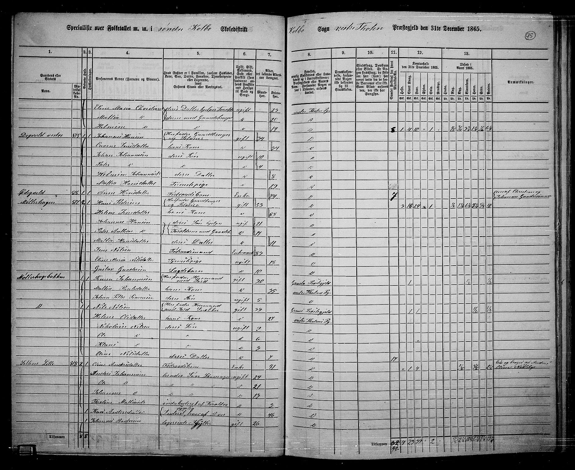 RA, 1865 census for Vestre Toten, 1865, p. 249