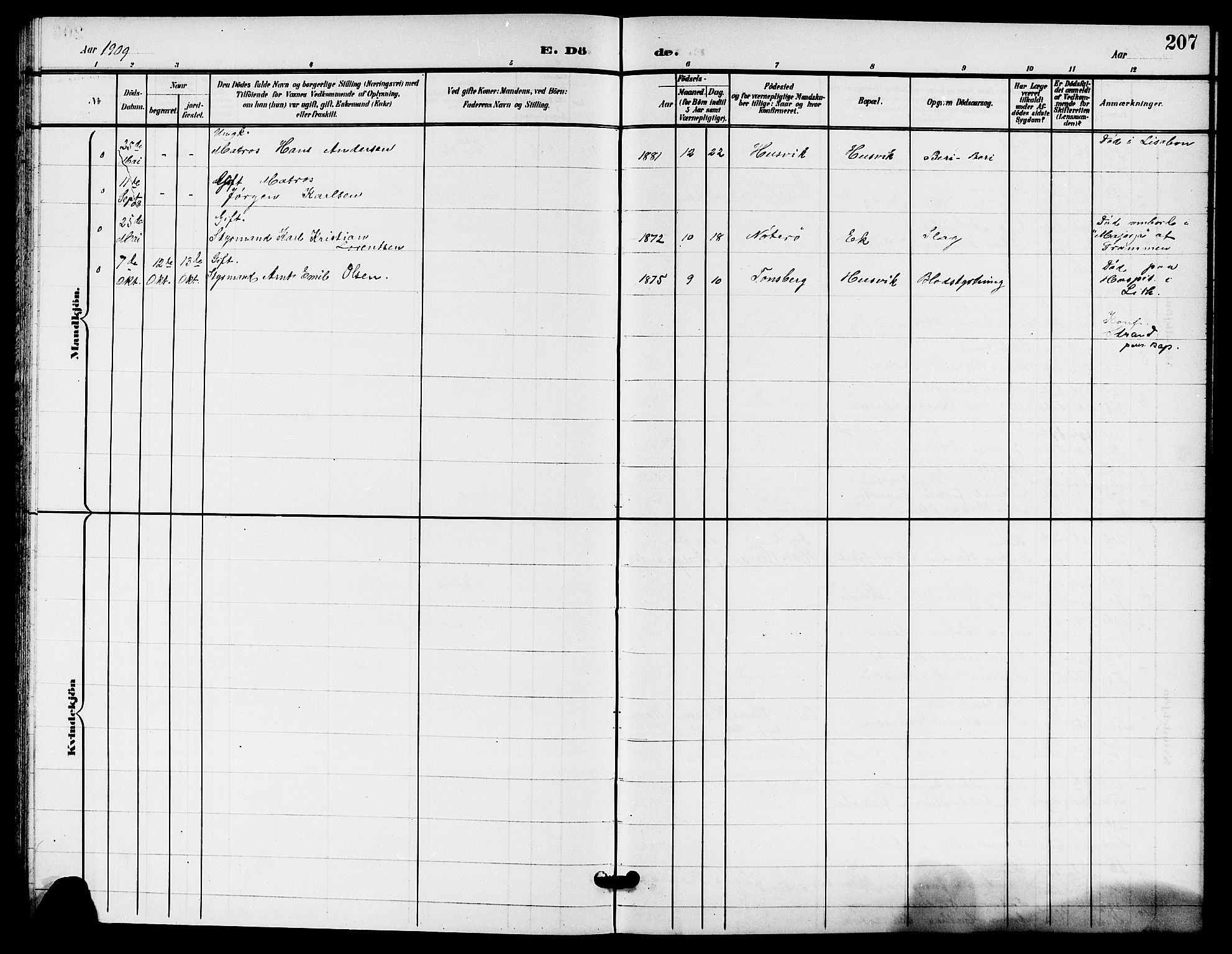 Sem kirkebøker, AV/SAKO-A-5/G/Gb/L0003: Parish register (copy) no. II 3, 1900-1913, p. 207