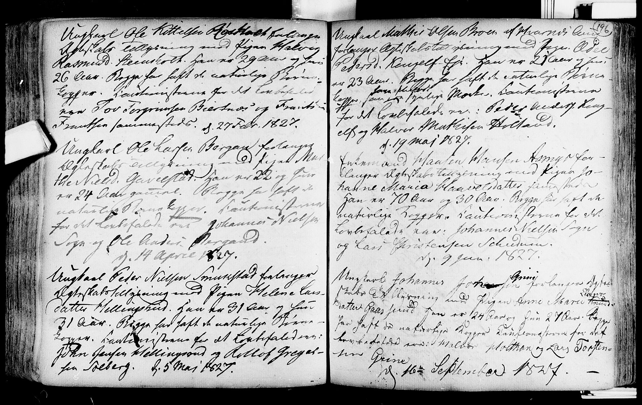 Lardal kirkebøker, SAKO/A-350/F/Fa/L0004: Parish register (official) no. i 4, 1733-1815, p. 196