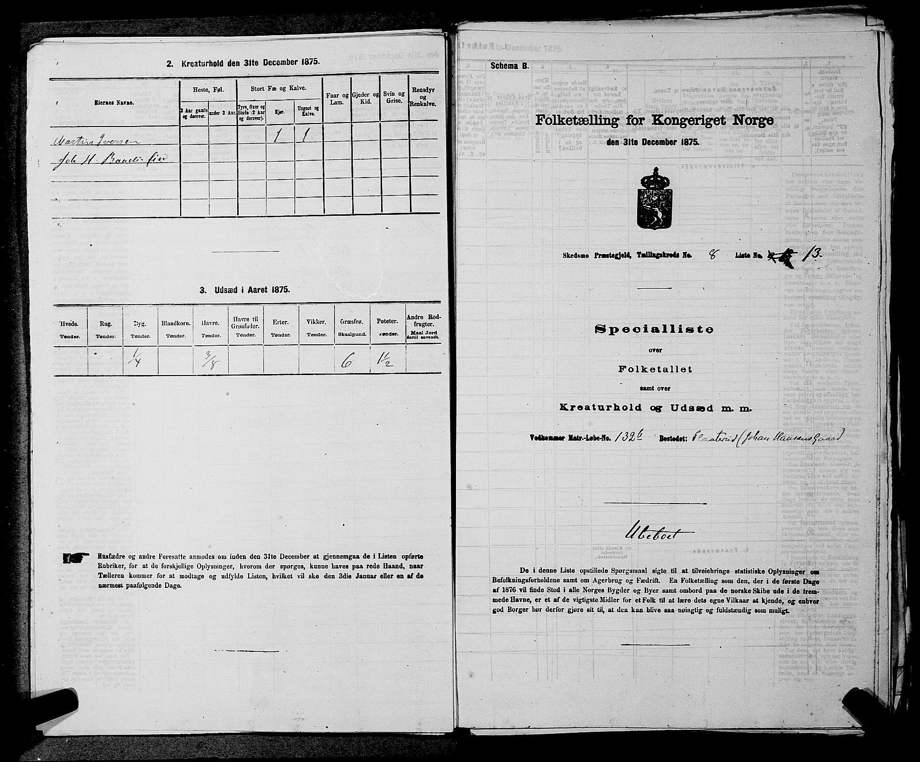 RA, 1875 census for 0231P Skedsmo, 1875, p. 1138