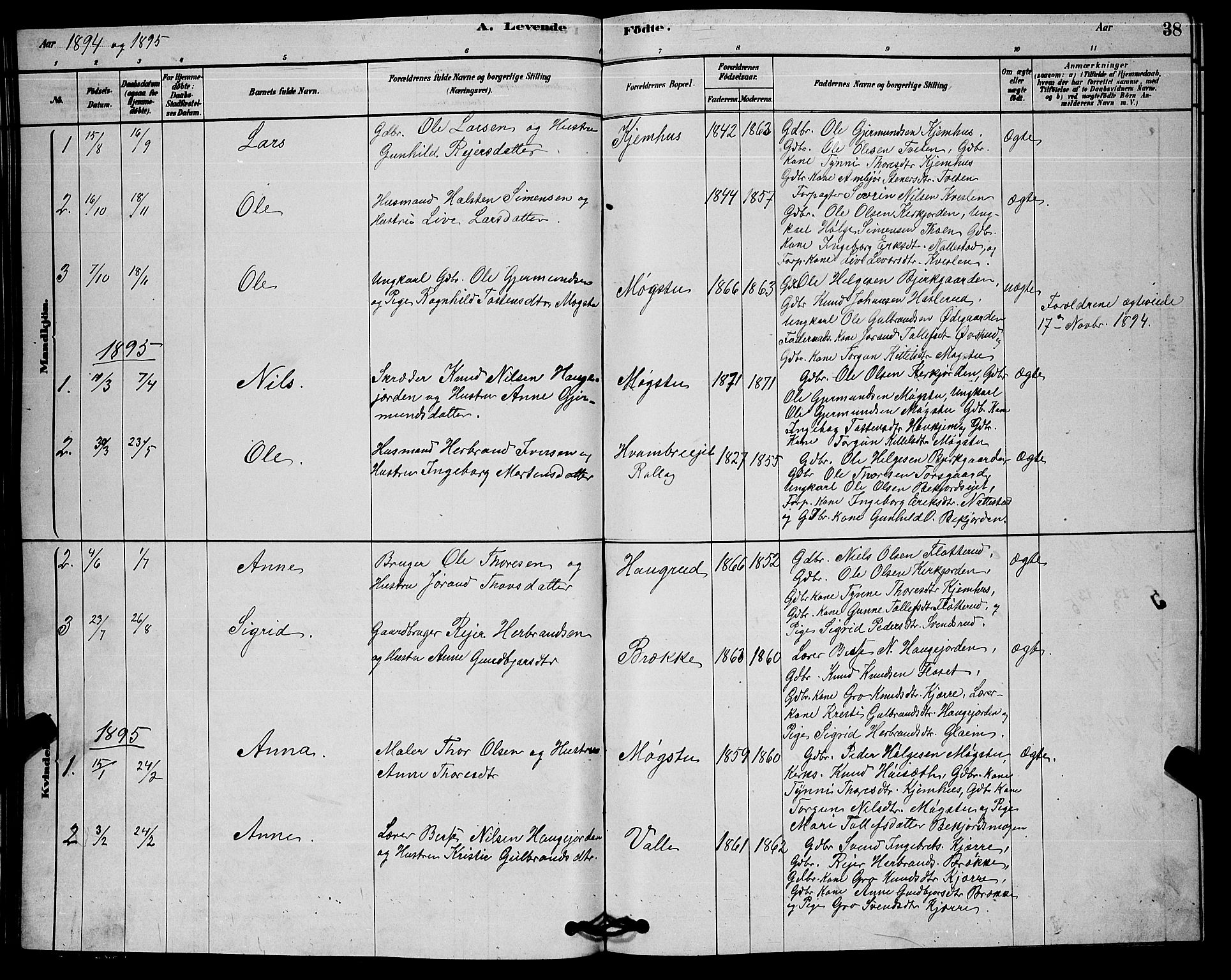 Rollag kirkebøker, AV/SAKO-A-240/G/Gb/L0002: Parish register (copy) no. II 2, 1878-1898, p. 38