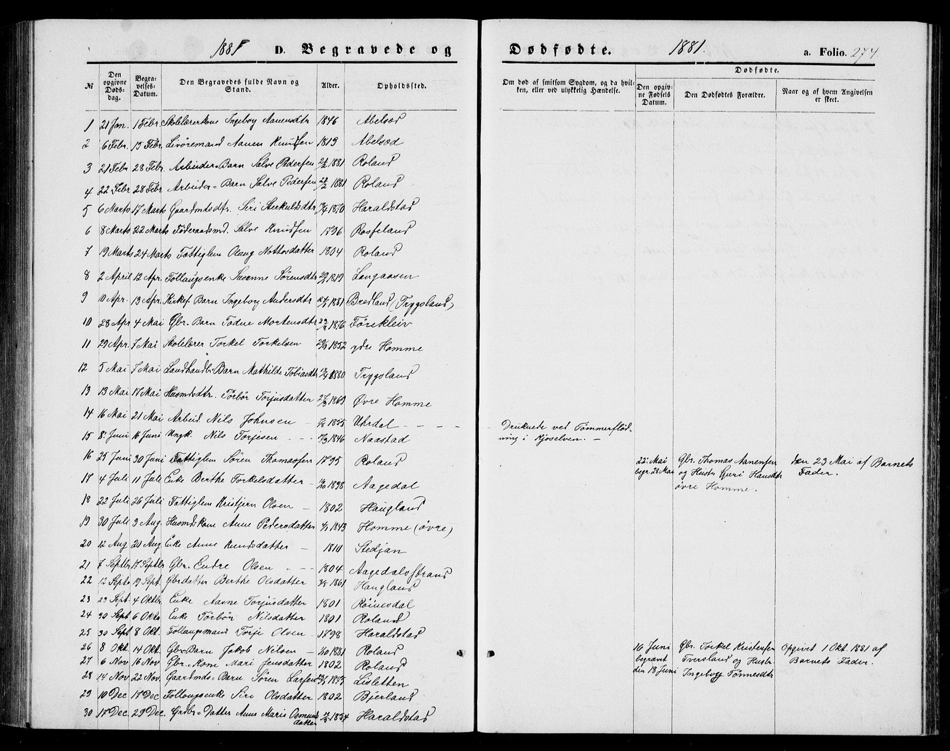 Bjelland sokneprestkontor, AV/SAK-1111-0005/F/Fb/Fba/L0004: Parish register (copy) no. B 4, 1869-1886, p. 274