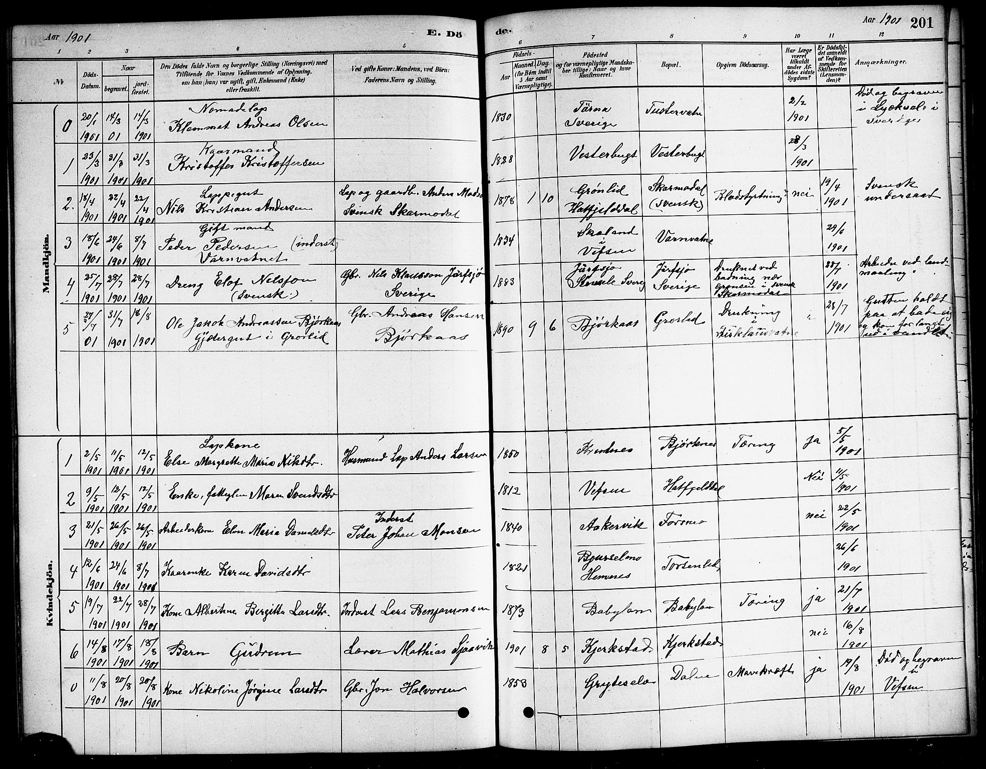 Ministerialprotokoller, klokkerbøker og fødselsregistre - Nordland, SAT/A-1459/823/L0330: Parish register (copy) no. 823C02, 1879-1916, p. 201