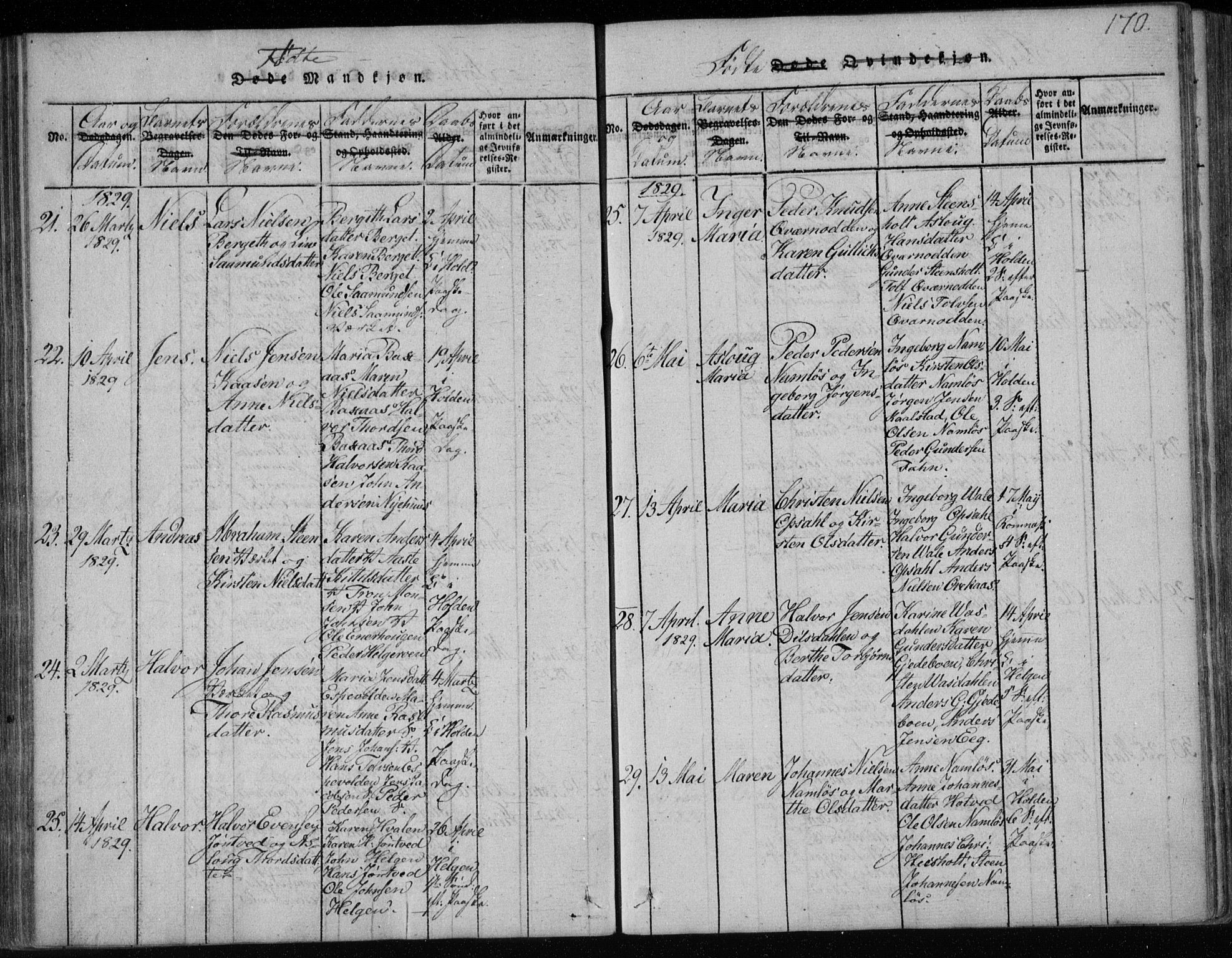 Holla kirkebøker, AV/SAKO-A-272/F/Fa/L0003: Parish register (official) no. 3, 1815-1830, p. 170