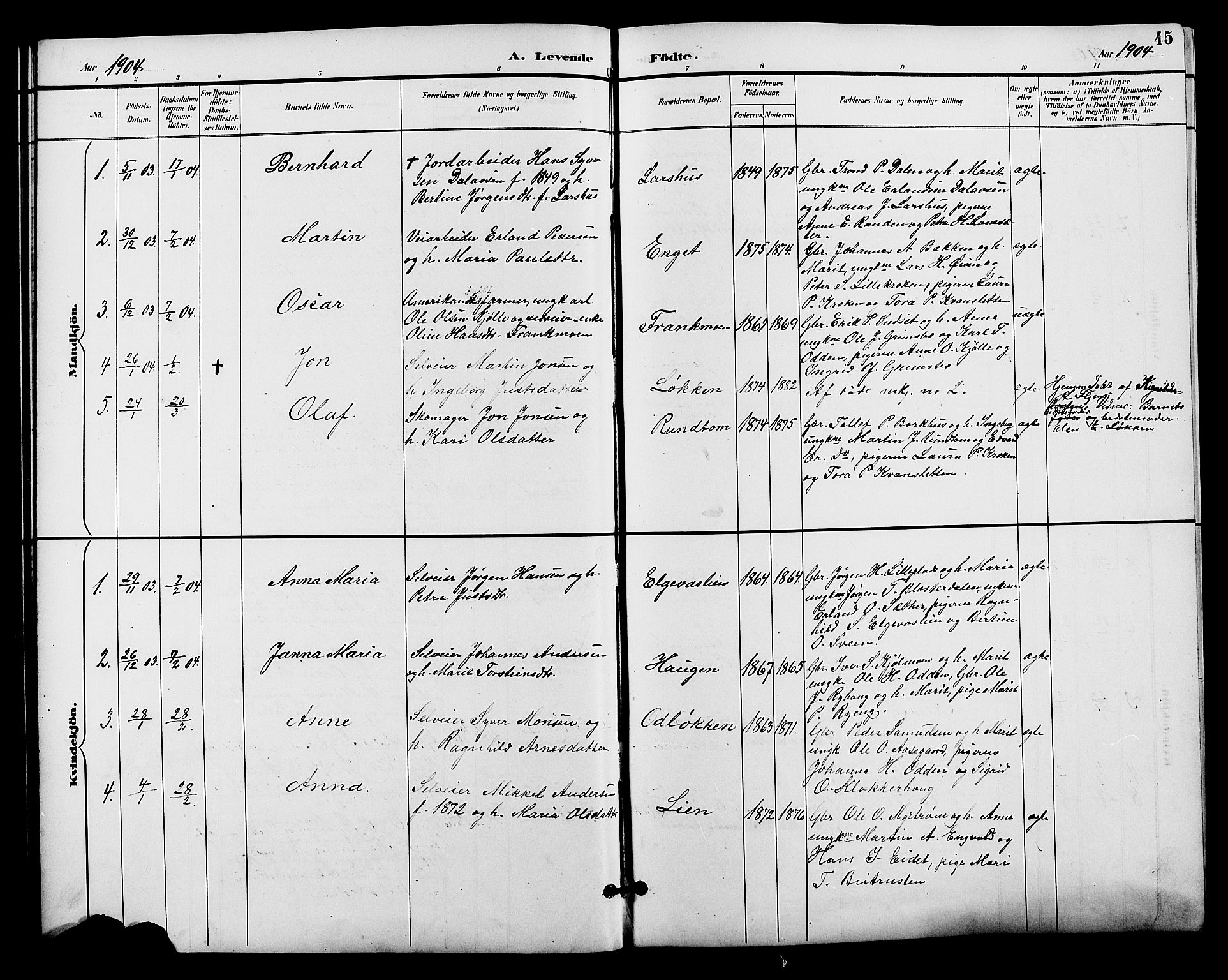 Alvdal prestekontor, SAH/PREST-060/H/Ha/Hab/L0004: Parish register (copy) no. 4, 1894-1910, p. 45