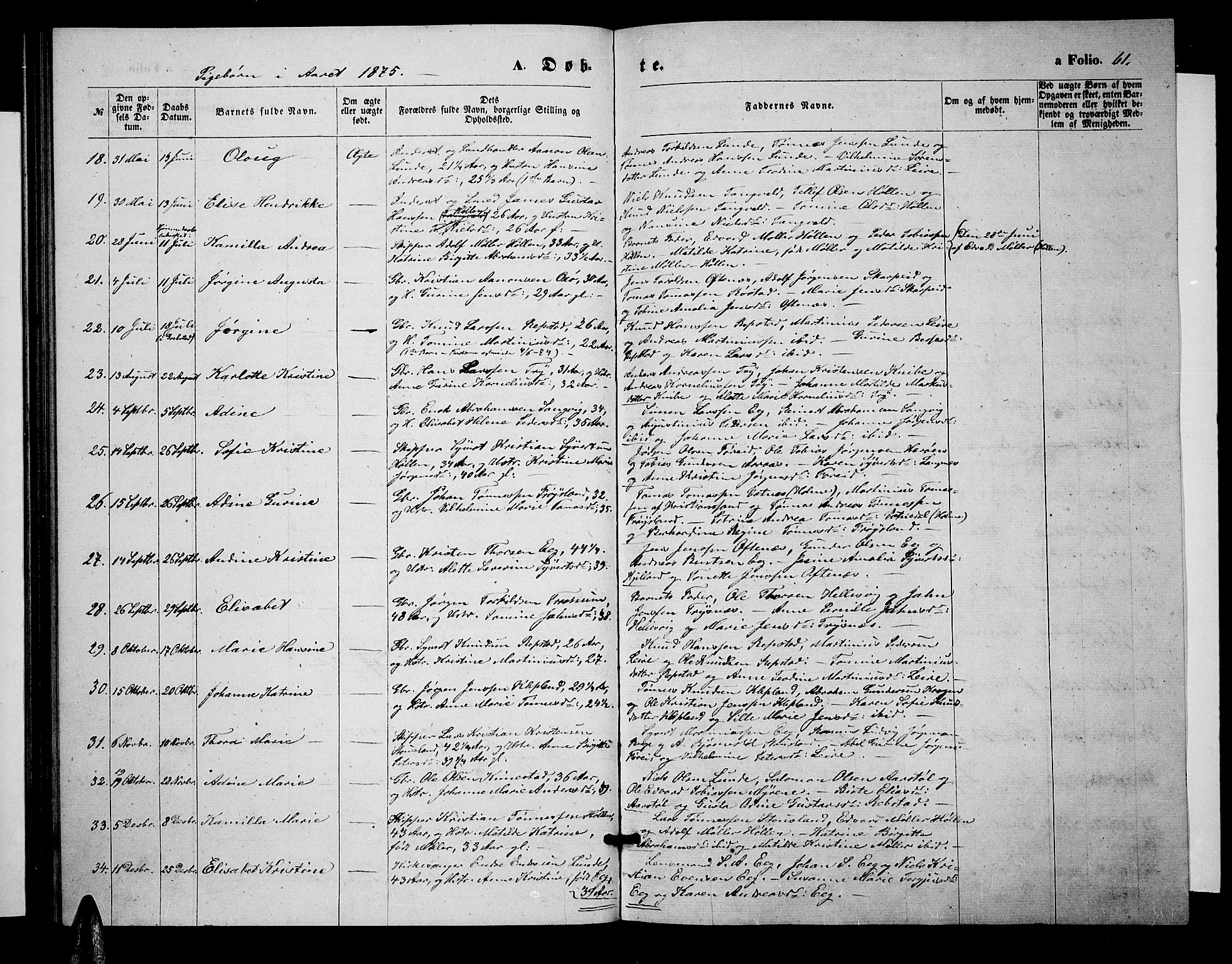 Søgne sokneprestkontor, SAK/1111-0037/F/Fb/Fbb/L0004: Parish register (copy) no. B 4, 1864-1883, p. 61