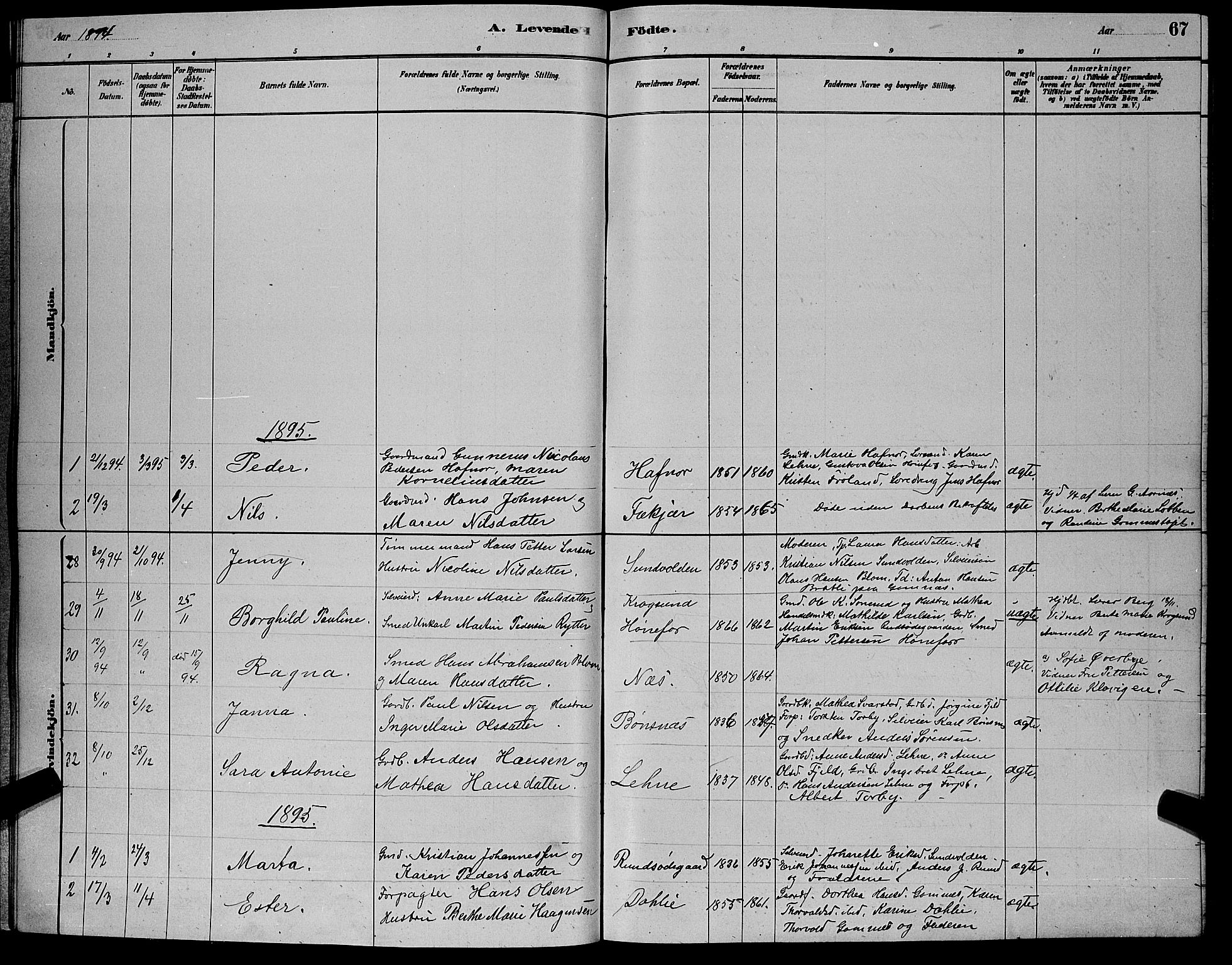 Hole kirkebøker, SAKO/A-228/G/Ga/L0003: Parish register (copy) no. I 3, 1879-1904, p. 67