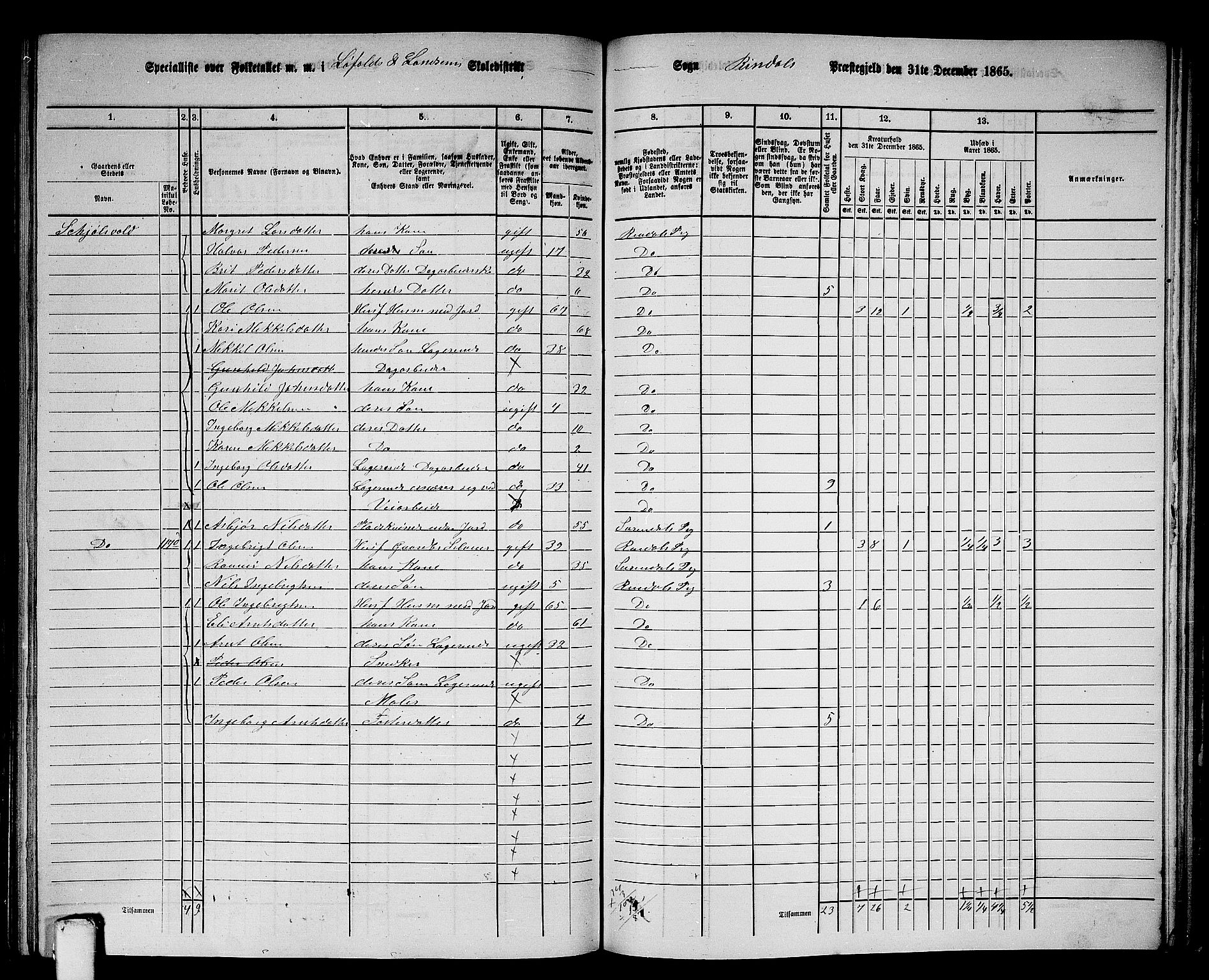 RA, 1865 census for Rindal, 1865, p. 66