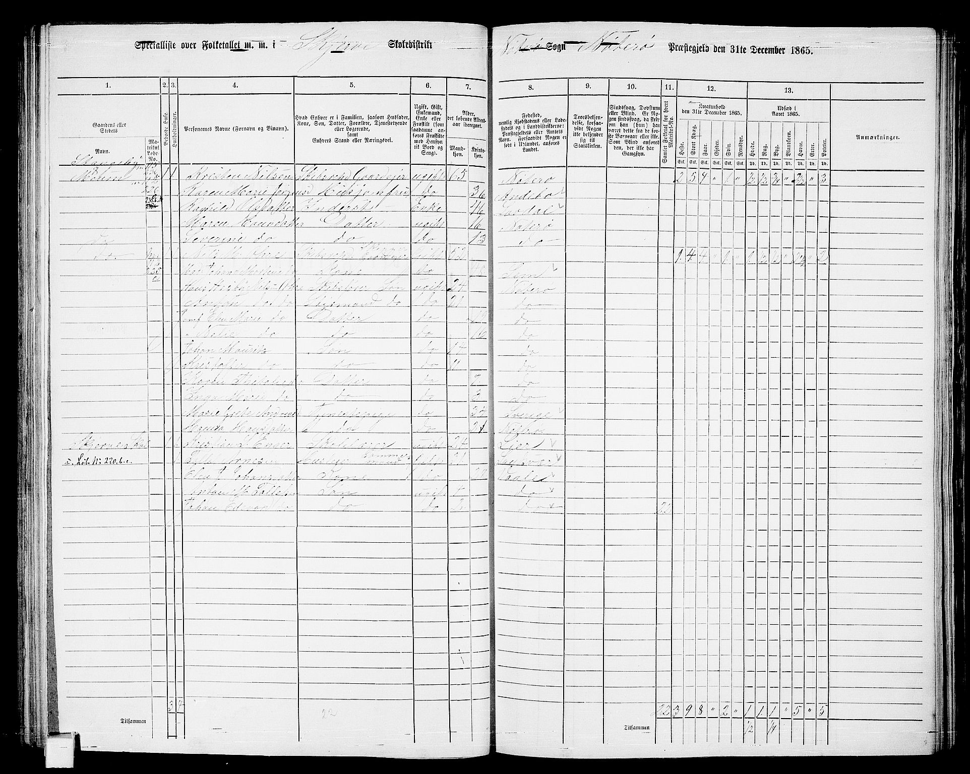 RA, 1865 census for Nøtterøy, 1865, p. 152