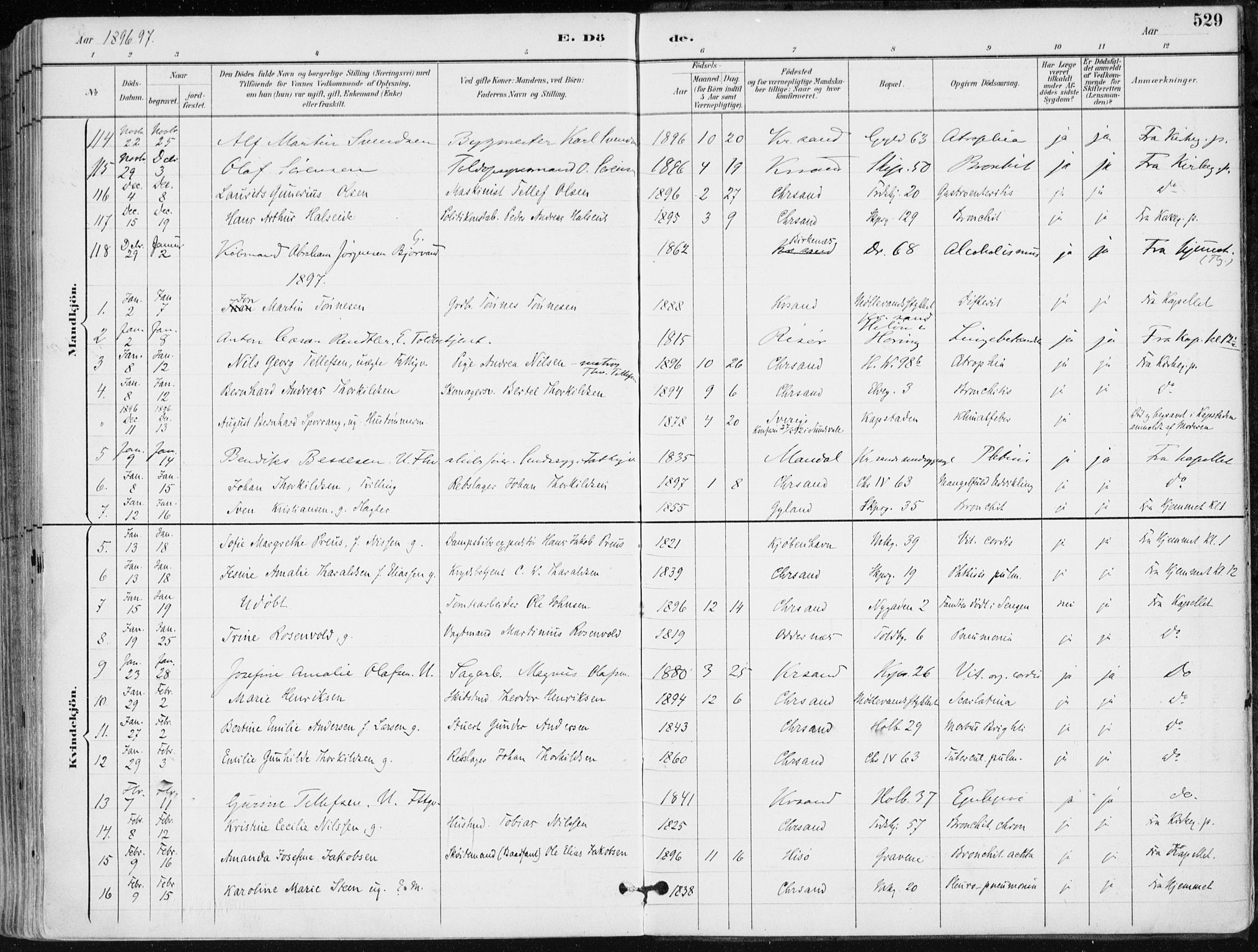 Kristiansand domprosti, SAK/1112-0006/F/Fa/L0019: Parish register (official) no. A 18, 1890-1897, p. 529