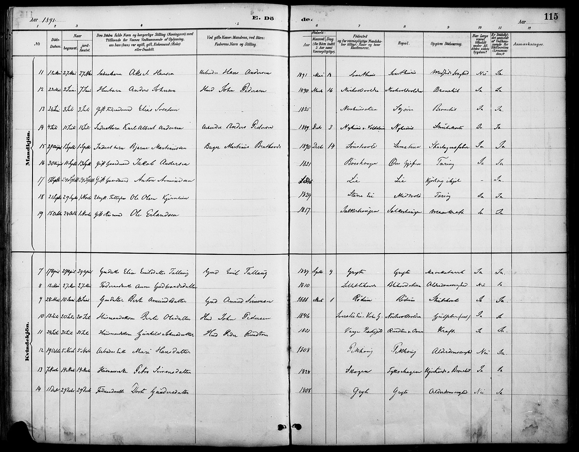 Østre Gausdal prestekontor, AV/SAH-PREST-092/H/Ha/Haa/L0002: Parish register (official) no. 2, 1887-1897, p. 115