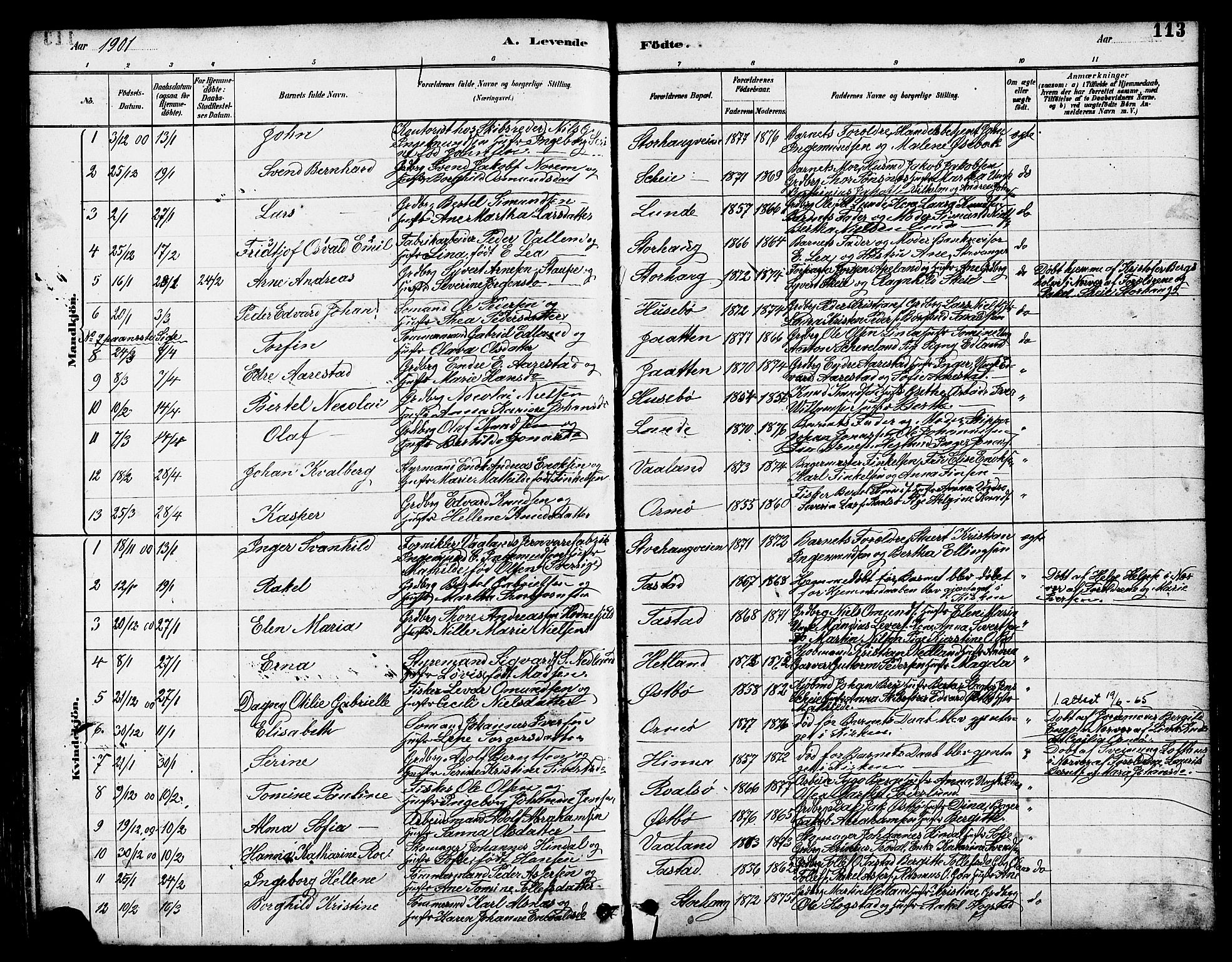 Hetland sokneprestkontor, SAST/A-101826/30/30BB/L0005: Parish register (copy) no. B 5, 1878-1910, p. 113