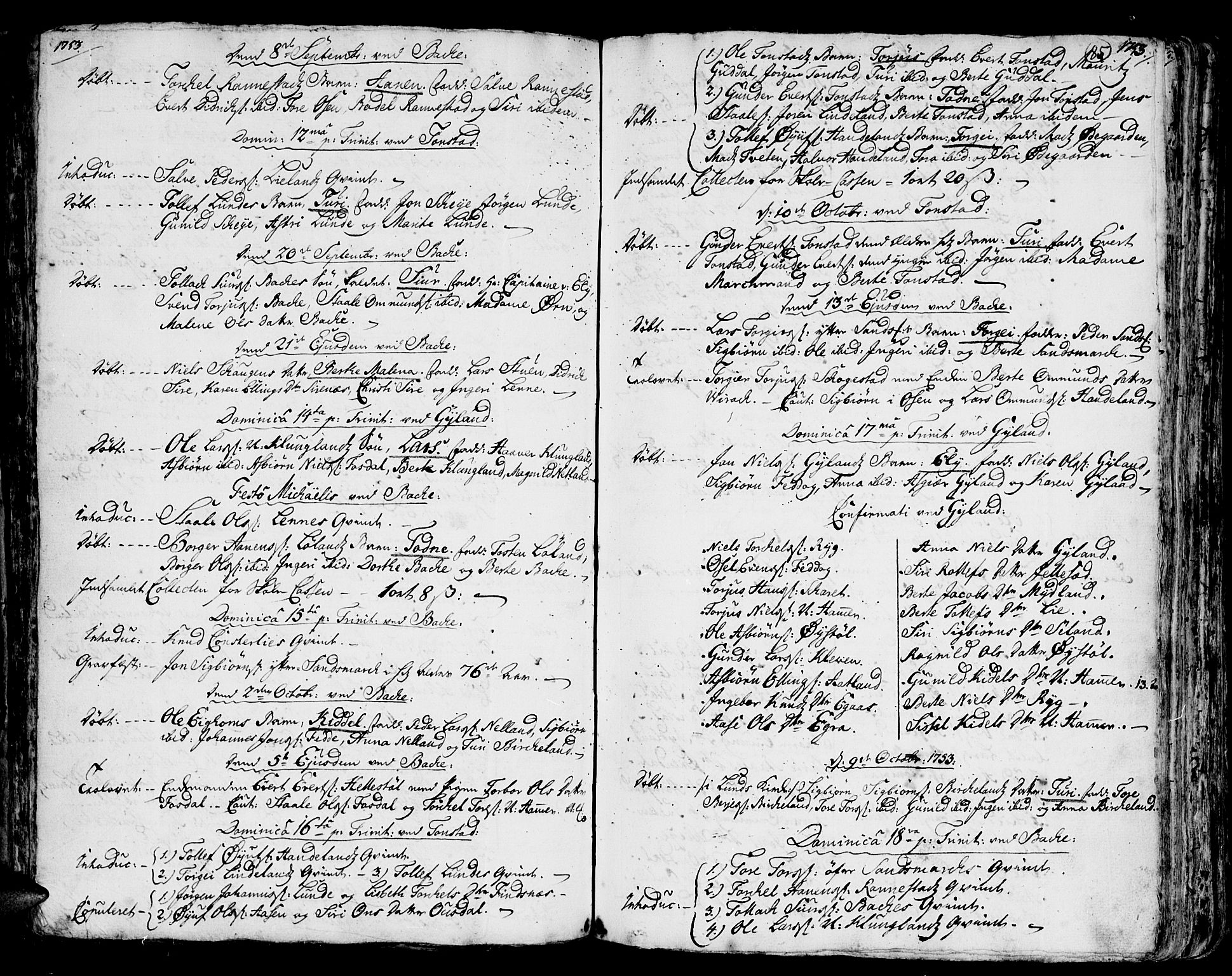 Bakke sokneprestkontor, AV/SAK-1111-0002/F/Fa/Faa/L0001: Parish register (official) no. A 1, 1741-1780, p. 85