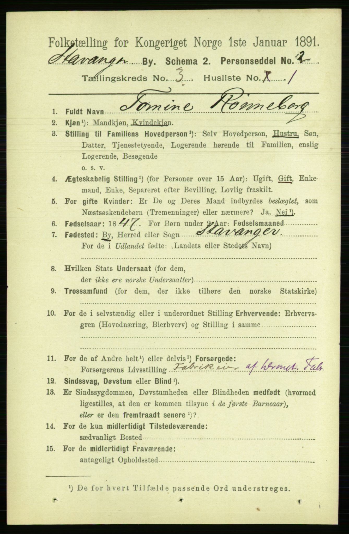 RA, 1891 census for 1103 Stavanger, 1891, p. 6781