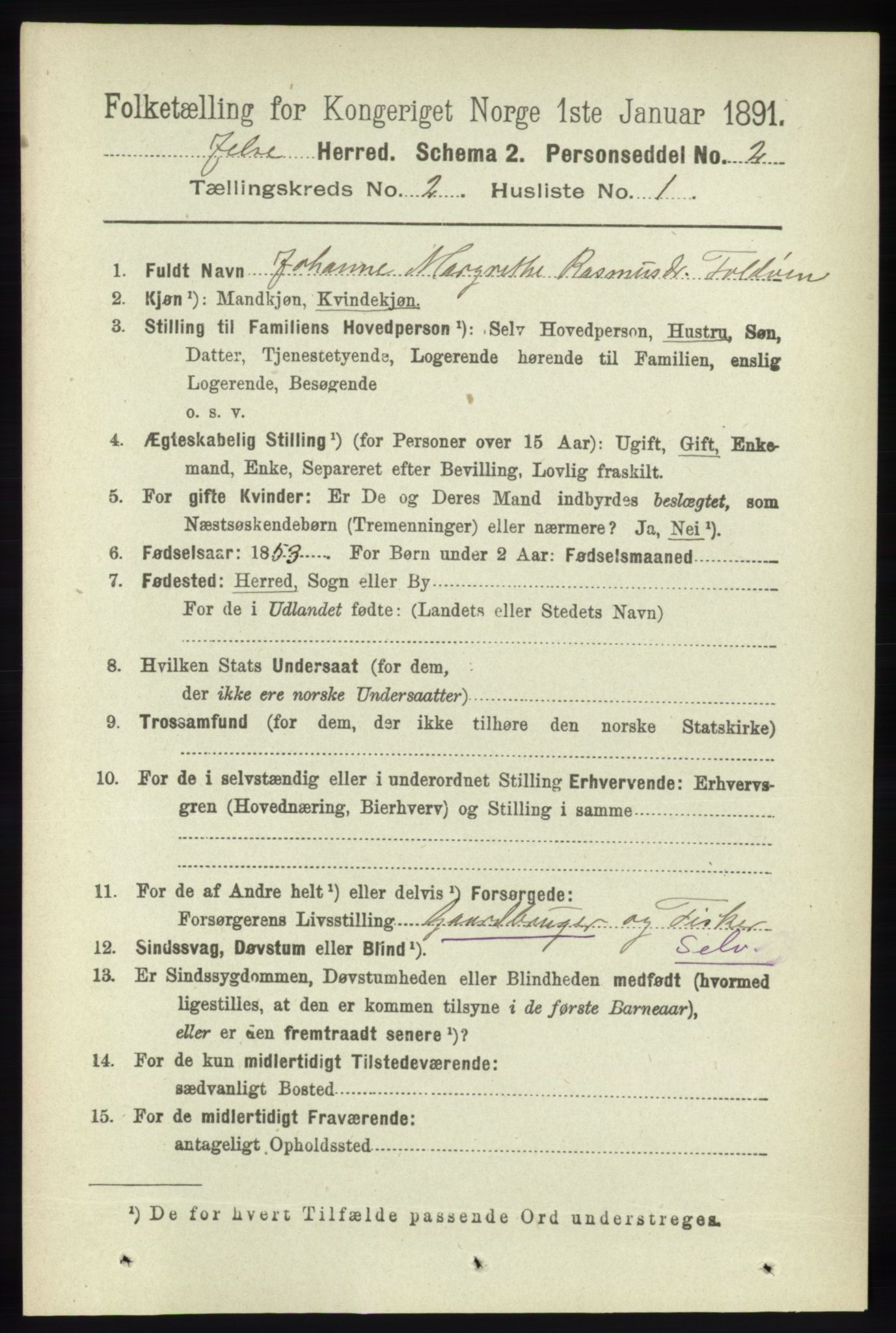 RA, 1891 census for 1138 Jelsa, 1891, p. 248