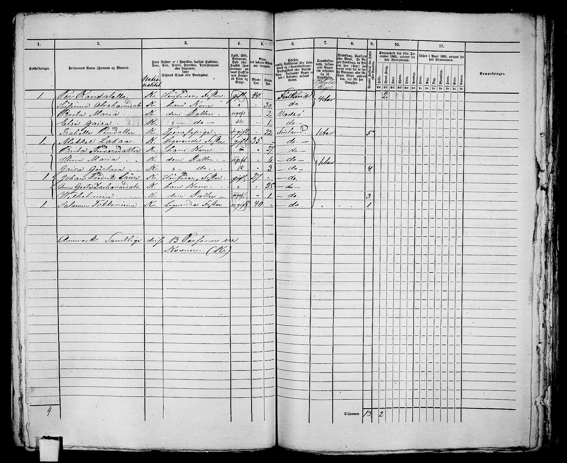 RA, 1865 census for Vadsø/Vadsø, 1865, p. 211