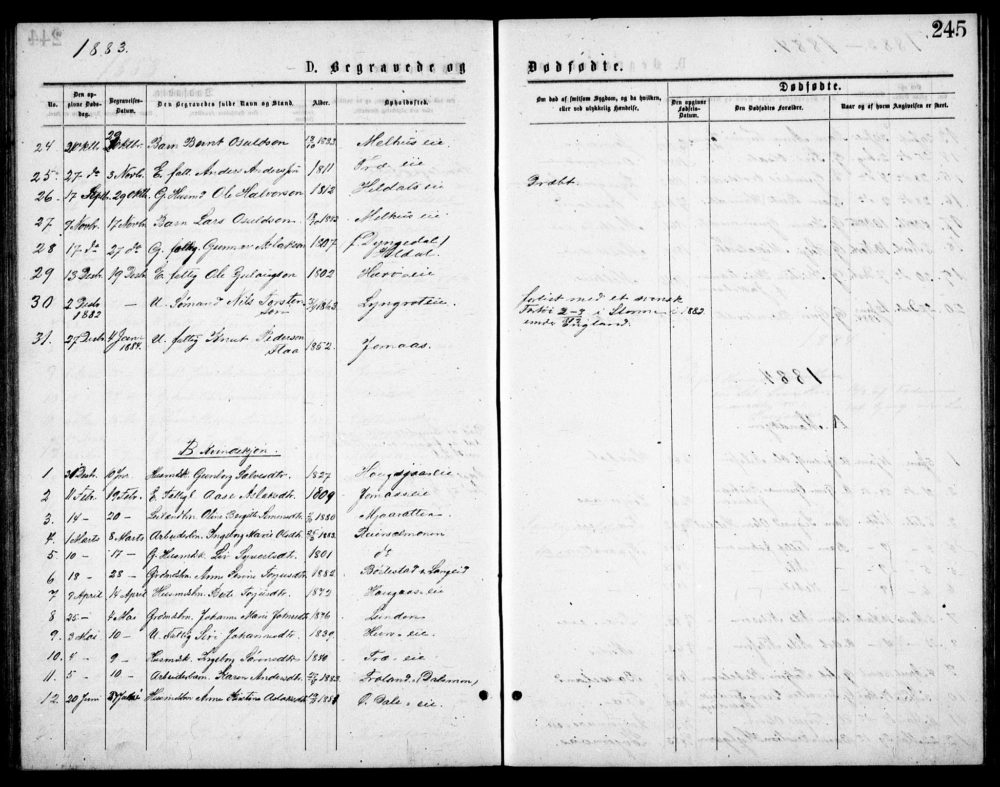 Froland sokneprestkontor, SAK/1111-0013/F/Fb/L0009: Parish register (copy) no. B 9, 1875-1893, p. 245