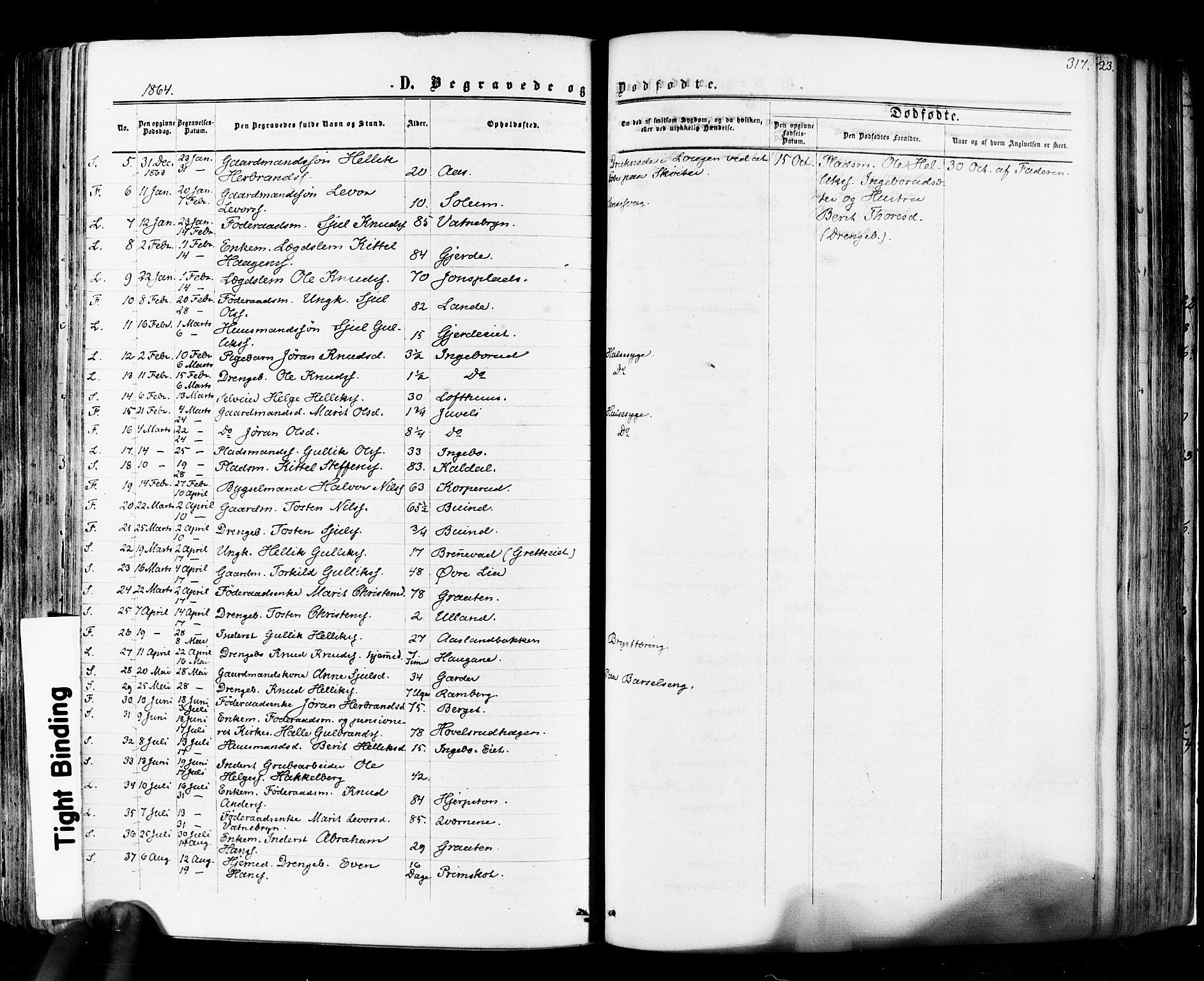 Flesberg kirkebøker, AV/SAKO-A-18/F/Fa/L0007: Parish register (official) no. I 7, 1861-1878, p. 317