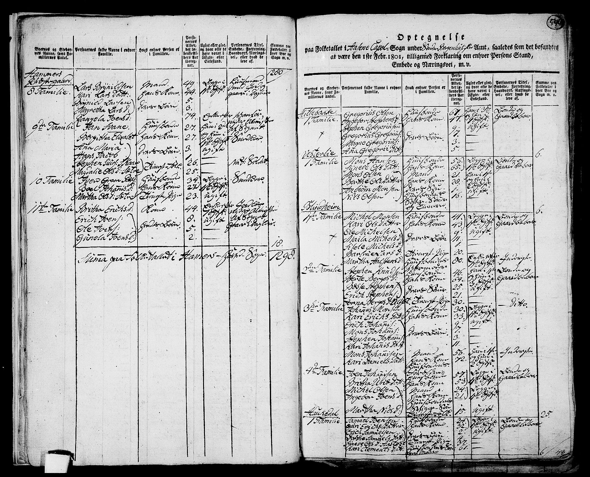 RA, 1801 census for 1254P Hamre, 1801, p. 543b-544a
