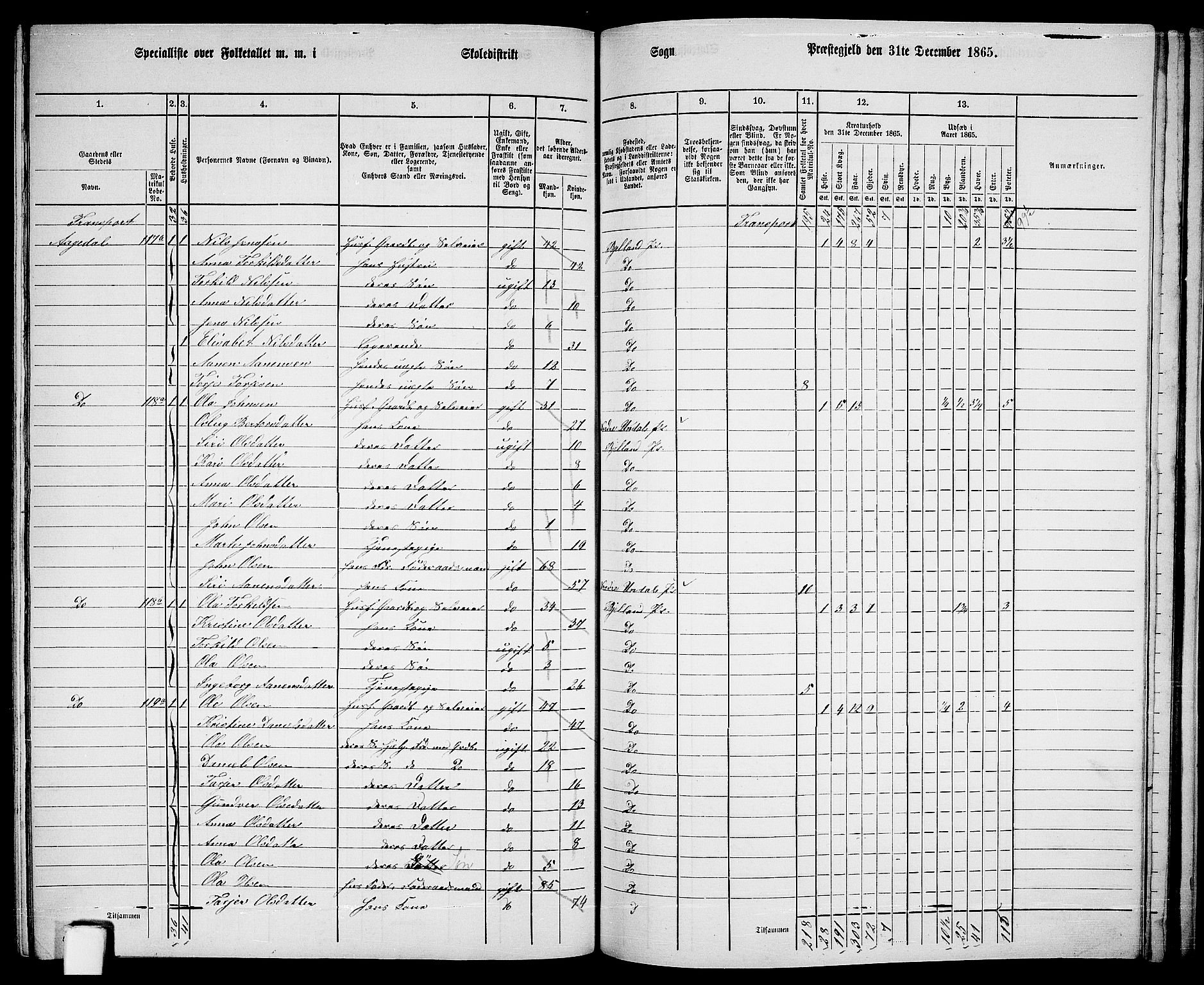 RA, 1865 census for Bjelland, 1865, p. 91