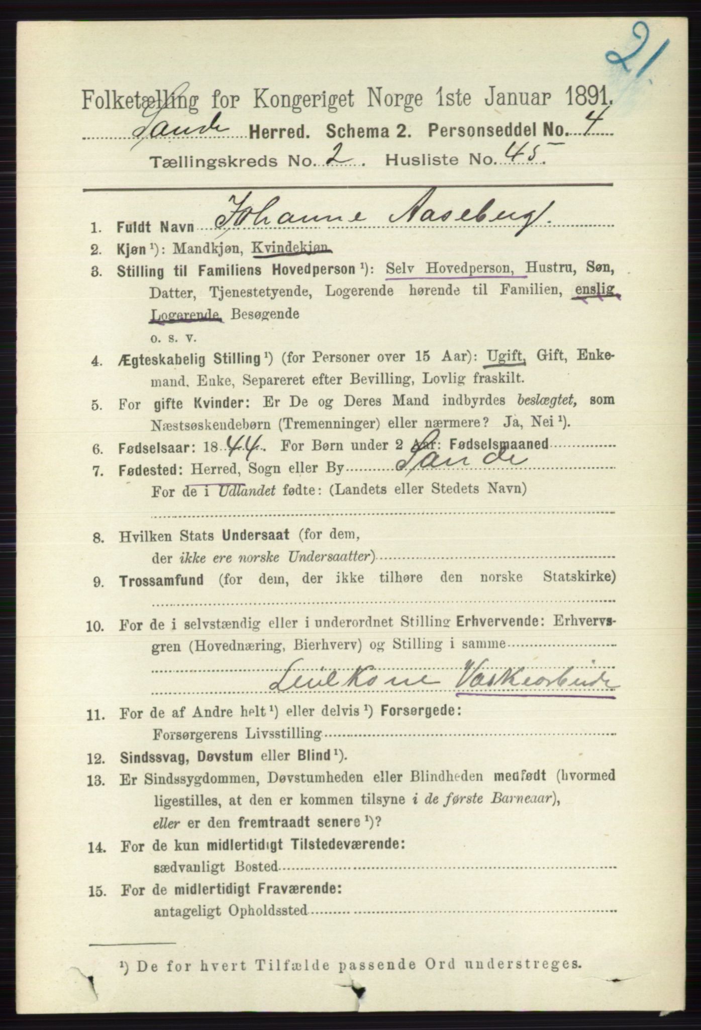 RA, 1891 census for 0713 Sande, 1891, p. 856