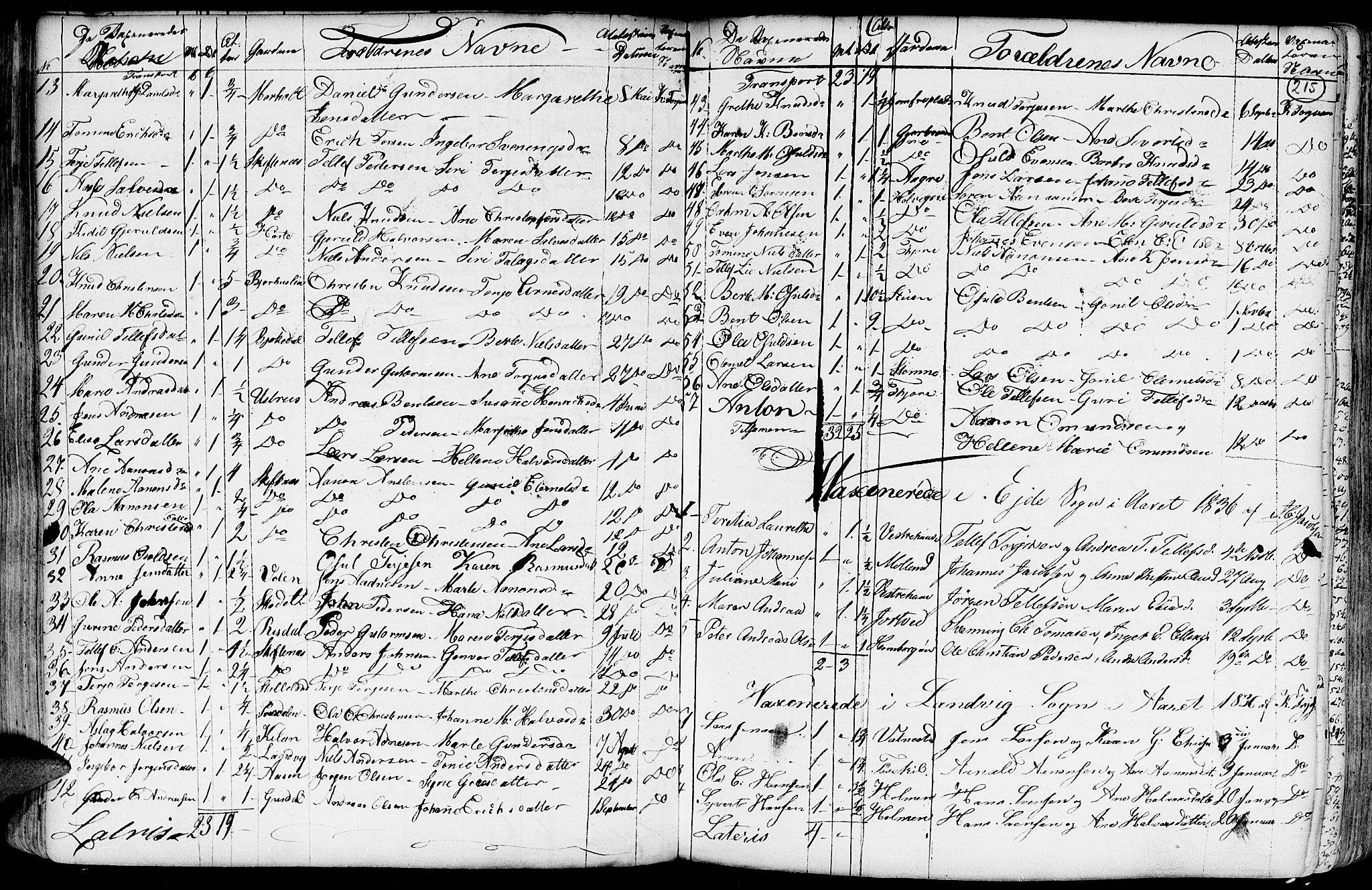 Hommedal sokneprestkontor, AV/SAK-1111-0023/F/Fa/Fab/L0002: Parish register (official) no. A 2 /1, 1741-1848, p. 215