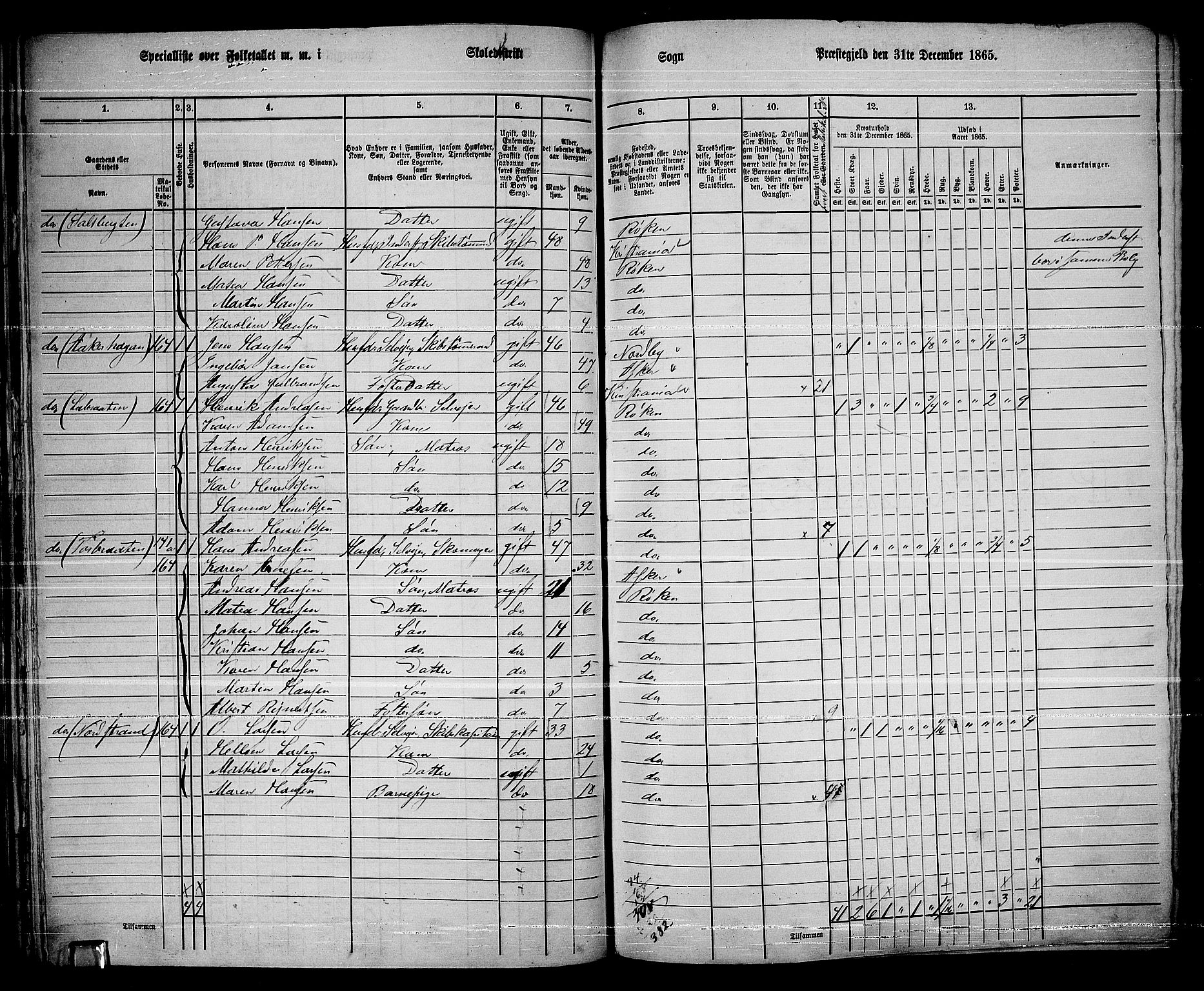 RA, 1865 census for Røyken, 1865, p. 62