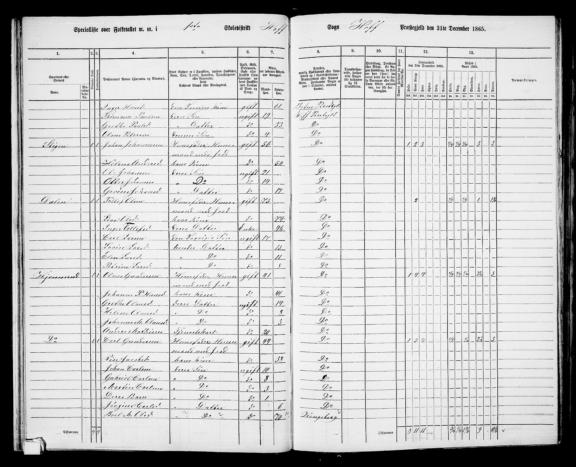 RA, 1865 census for Hof, 1865, p. 29