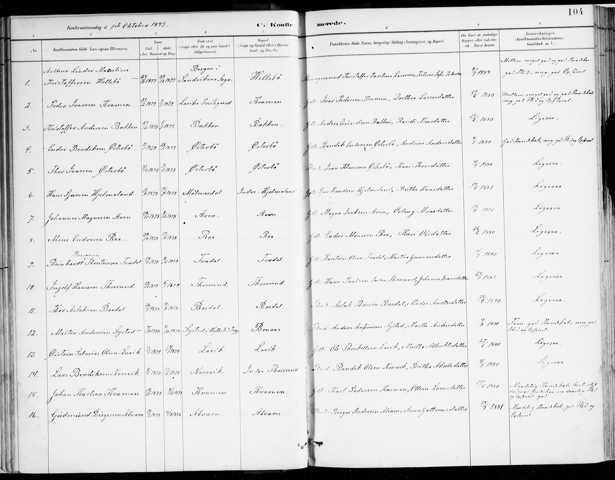 Lavik sokneprestembete, AV/SAB-A-80901: Parish register (official) no. B 1, 1882-1908, p. 104