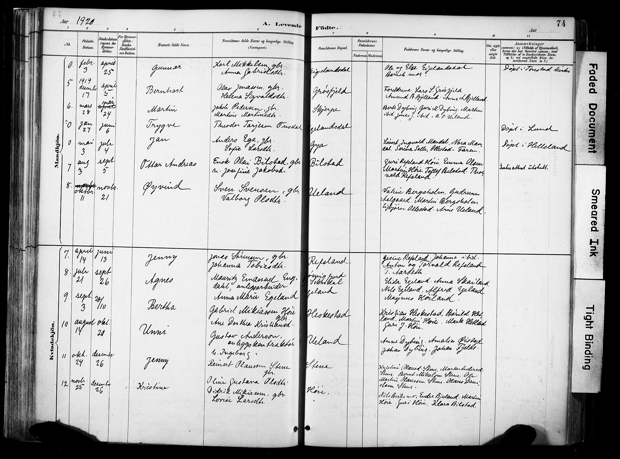 Lund sokneprestkontor, AV/SAST-A-101809/S06/L0012: Parish register (official) no. A 11, 1887-1921, p. 74