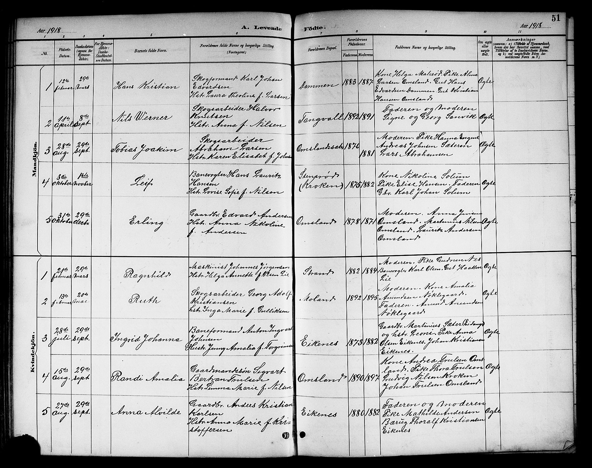Brunlanes kirkebøker, SAKO/A-342/G/Gc/L0002: Parish register (copy) no. III 2, 1891-1922, p. 51