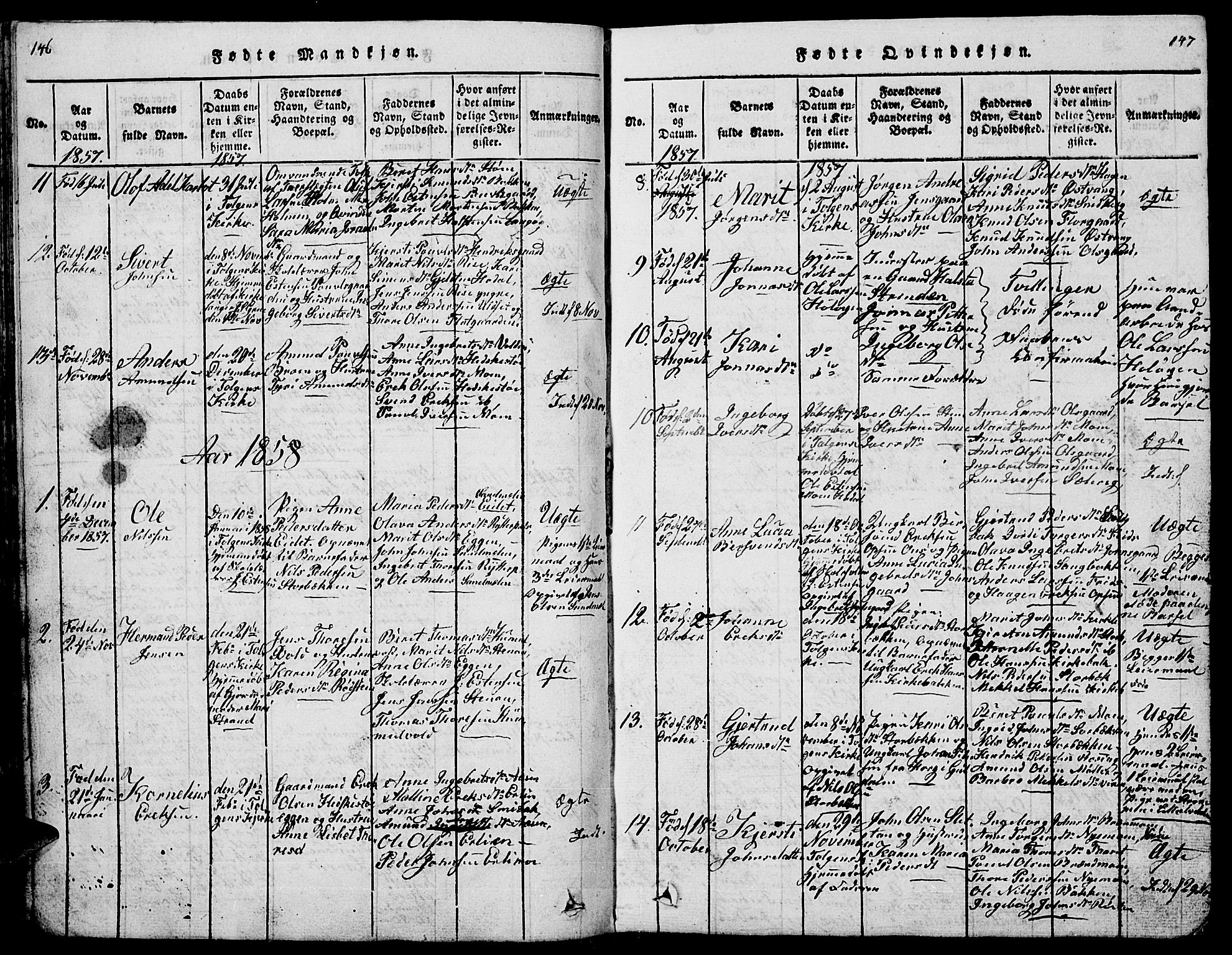 Tolga prestekontor, AV/SAH-PREST-062/L/L0001: Parish register (copy) no. 1, 1814-1877, p. 146-147