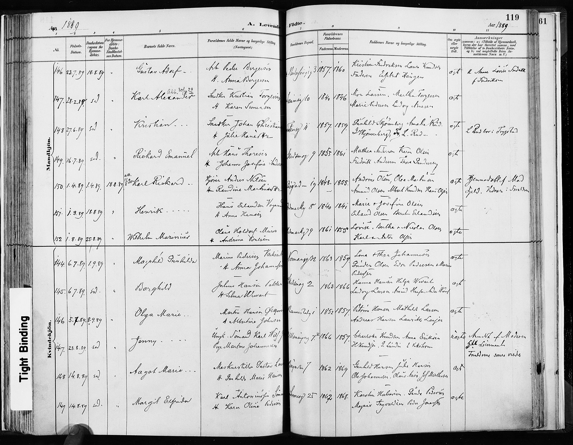 Kampen prestekontor Kirkebøker, SAO/A-10853/F/Fa/L0003: Parish register (official) no. I 3, 1886-1892, p. 119