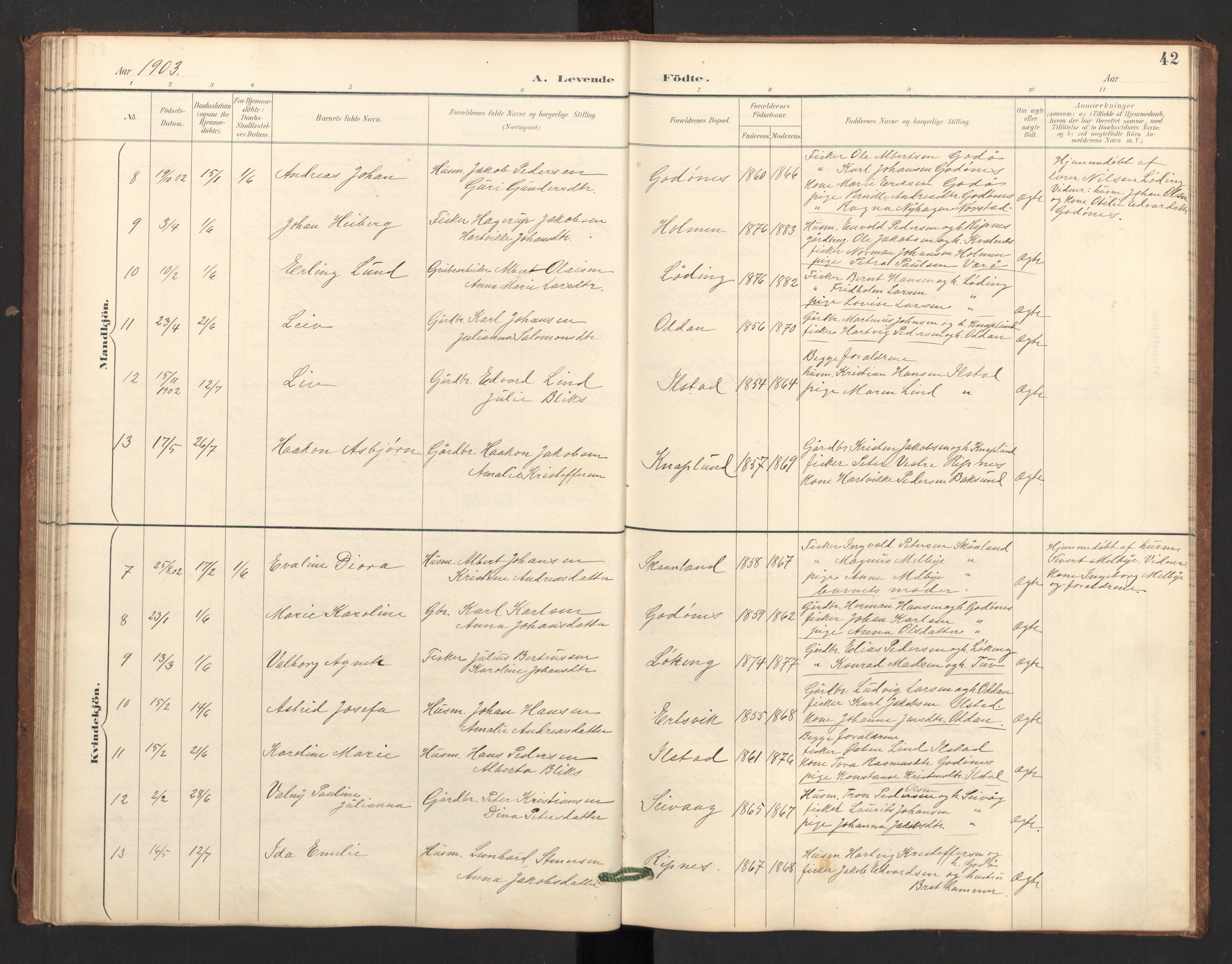 Ministerialprotokoller, klokkerbøker og fødselsregistre - Nordland, AV/SAT-A-1459/804/L0087: Parish register (official) no. 804A08, 1894-1907, p. 42