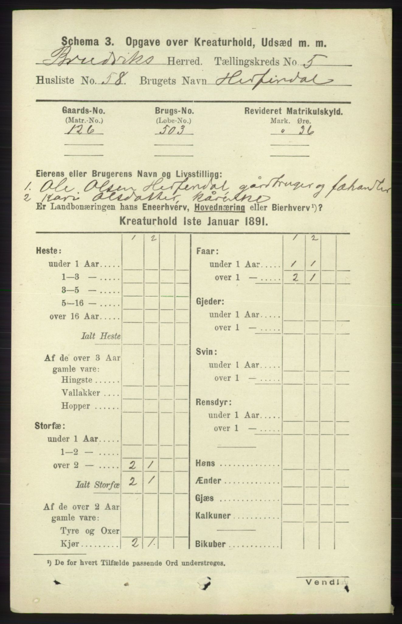 RA, 1891 census for 1251 Bruvik, 1891, p. 4555