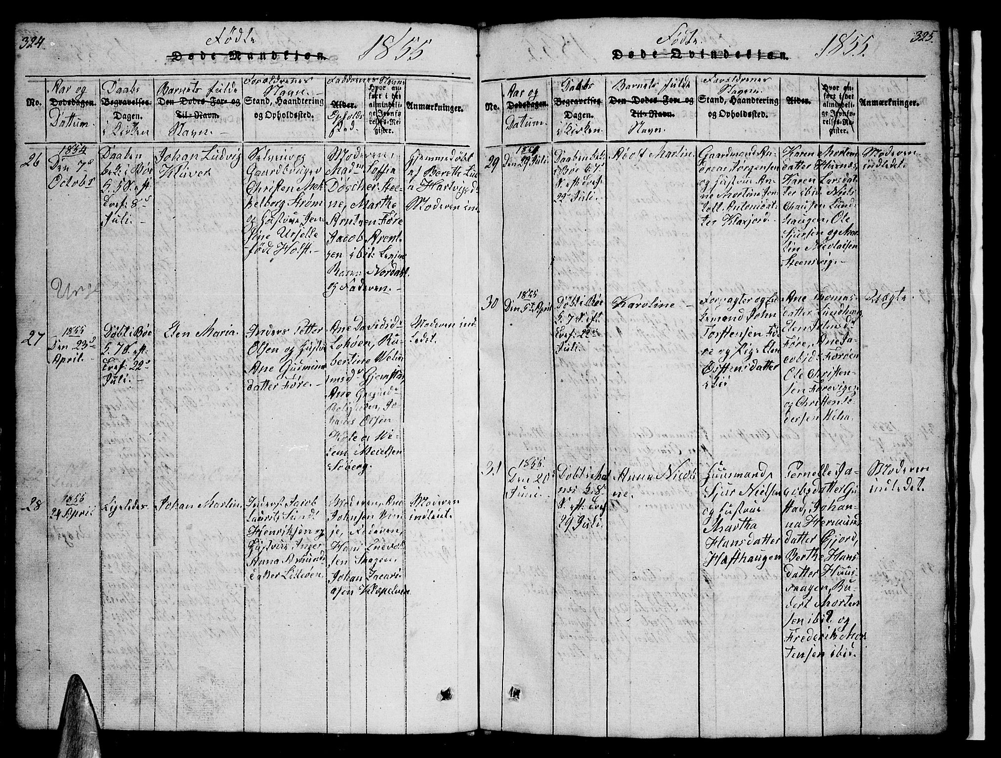 Ministerialprotokoller, klokkerbøker og fødselsregistre - Nordland, AV/SAT-A-1459/891/L1312: Parish register (copy) no. 891C01, 1820-1856, p. 324-325