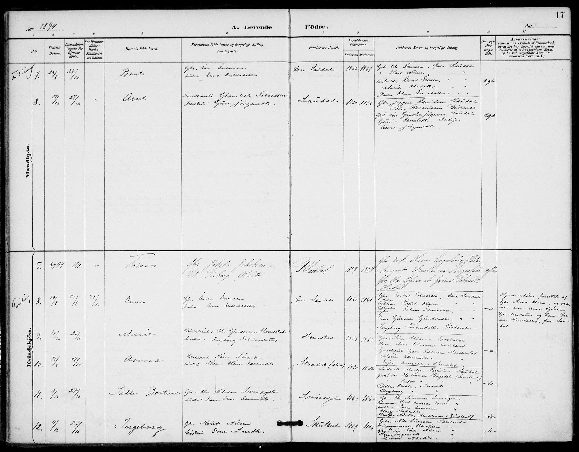 Holum sokneprestkontor, AV/SAK-1111-0022/F/Fa/Fab/L0007: Parish register (official) no. A 7, 1887-1912, p. 17